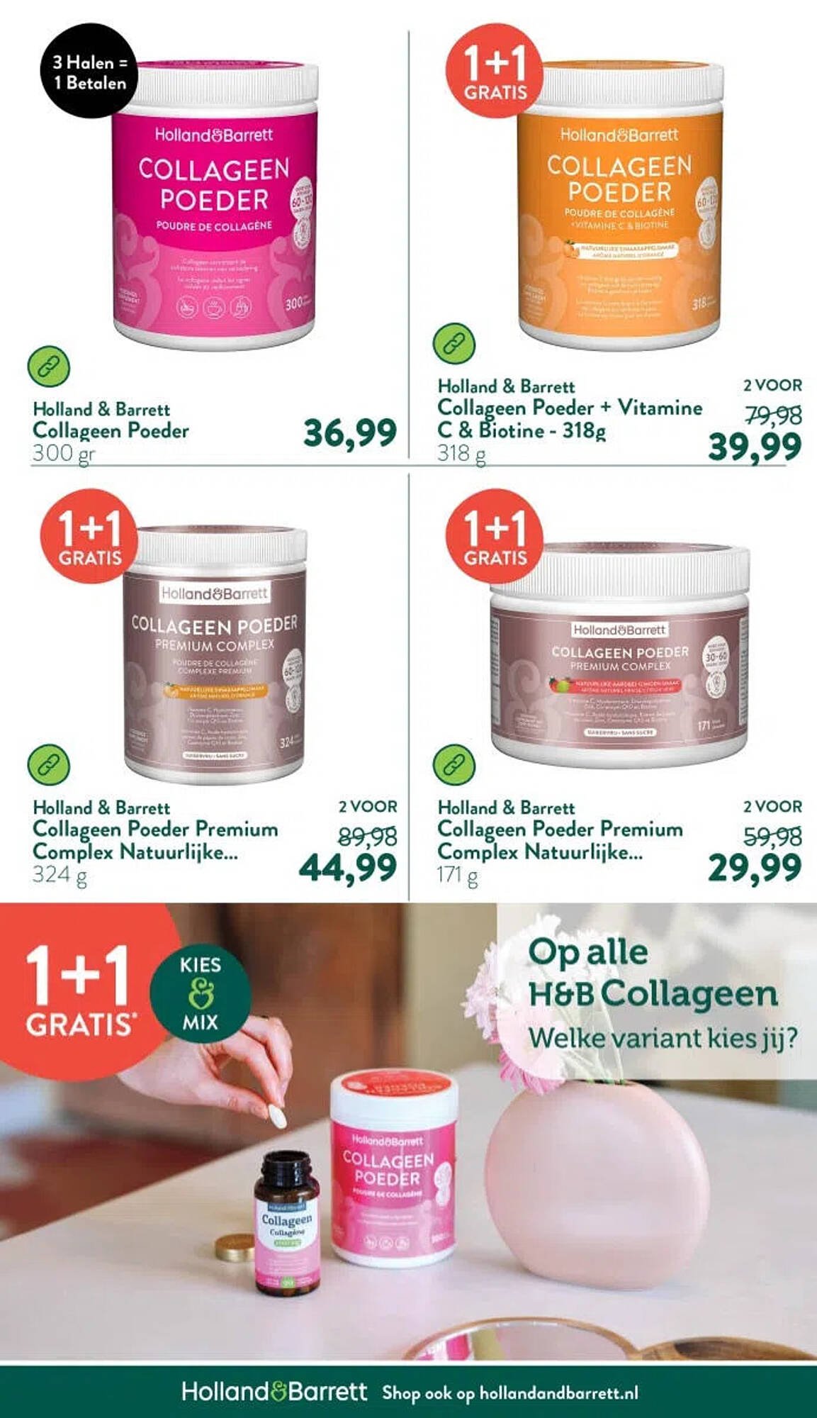 Holland &amp; Barrett folder