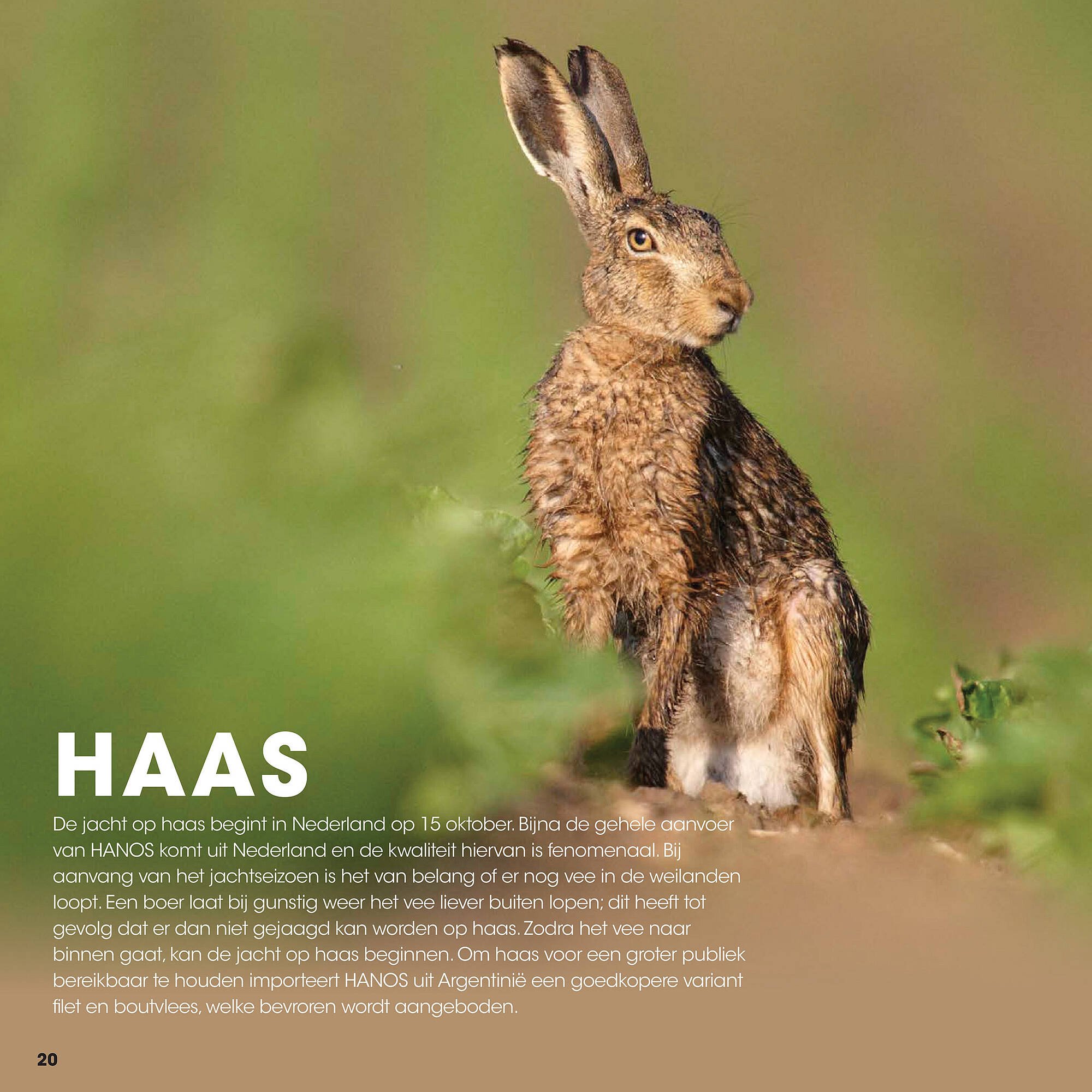 HANOS folder (2025-09-12 - 2025-12-31)