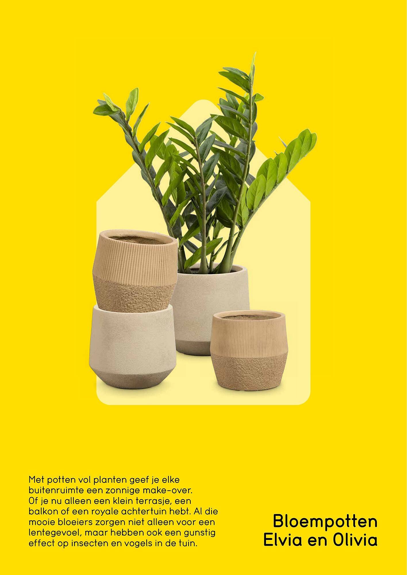 Leen Bakker - Tuinmagazine 2026