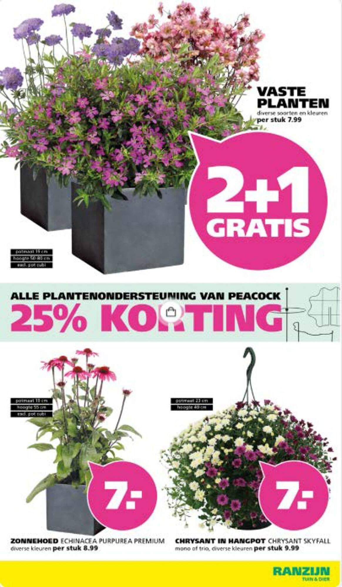 Ranzijn folder (2025-07-21 - 2025-08-09)