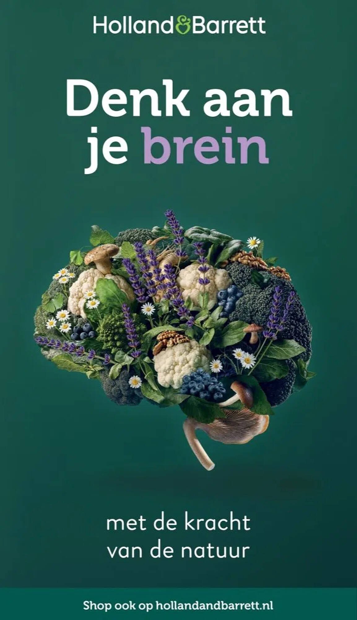 Holland &amp; Barrett folder