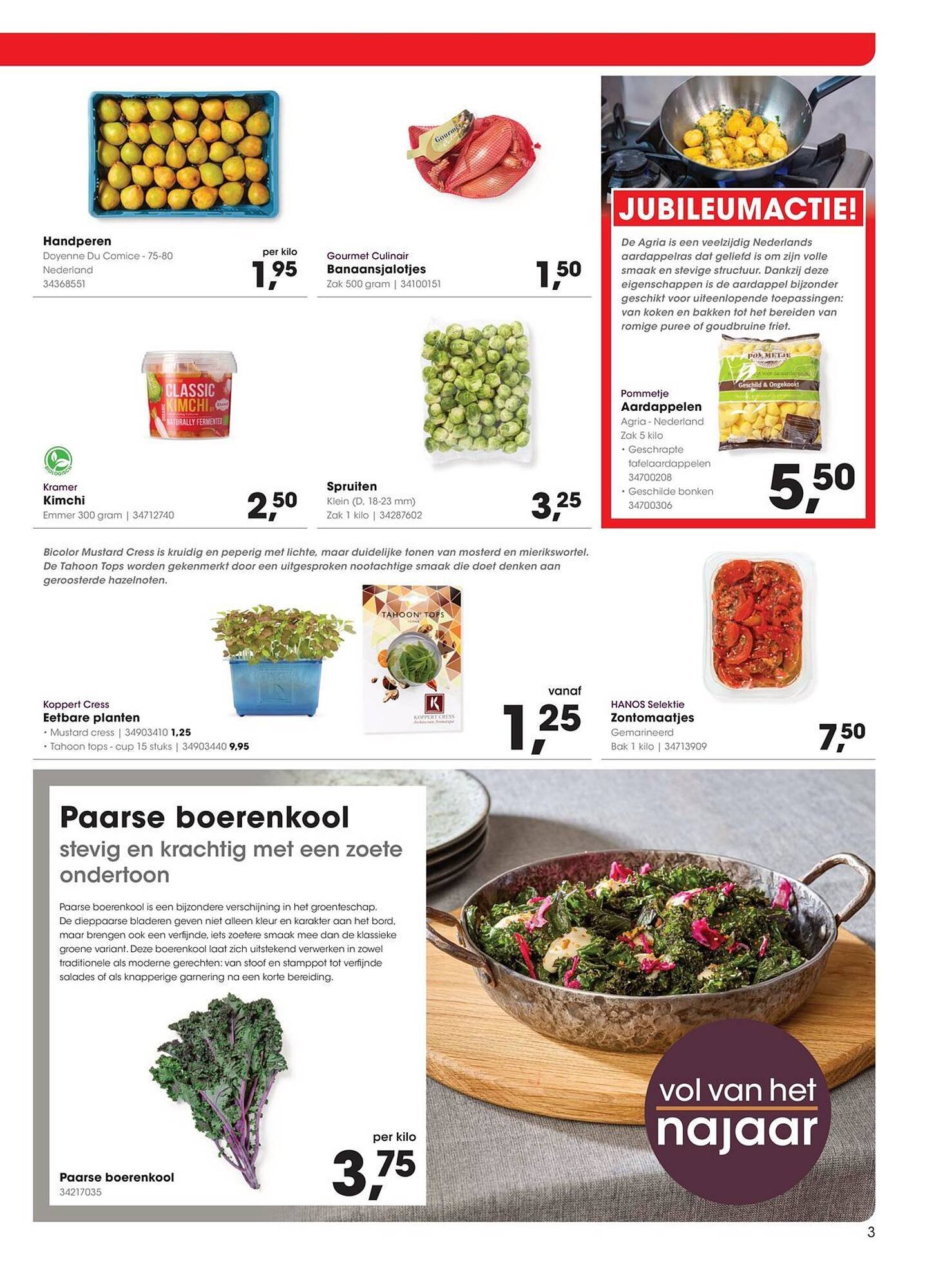 HANOS folder (2025-11-03 - 2025-11-16)