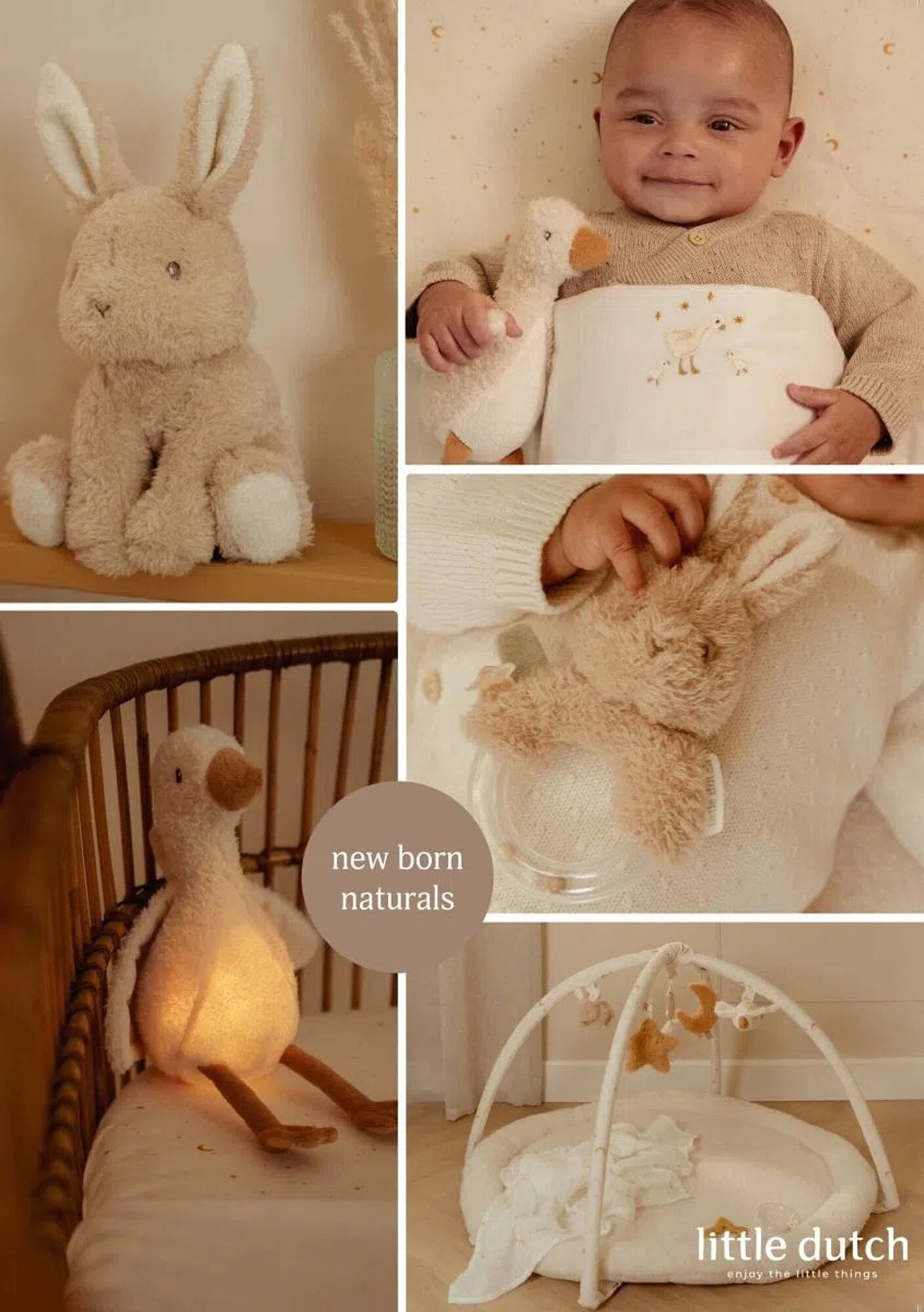 Baby-Dump folder (2025-09-02 - 2025-09-29)