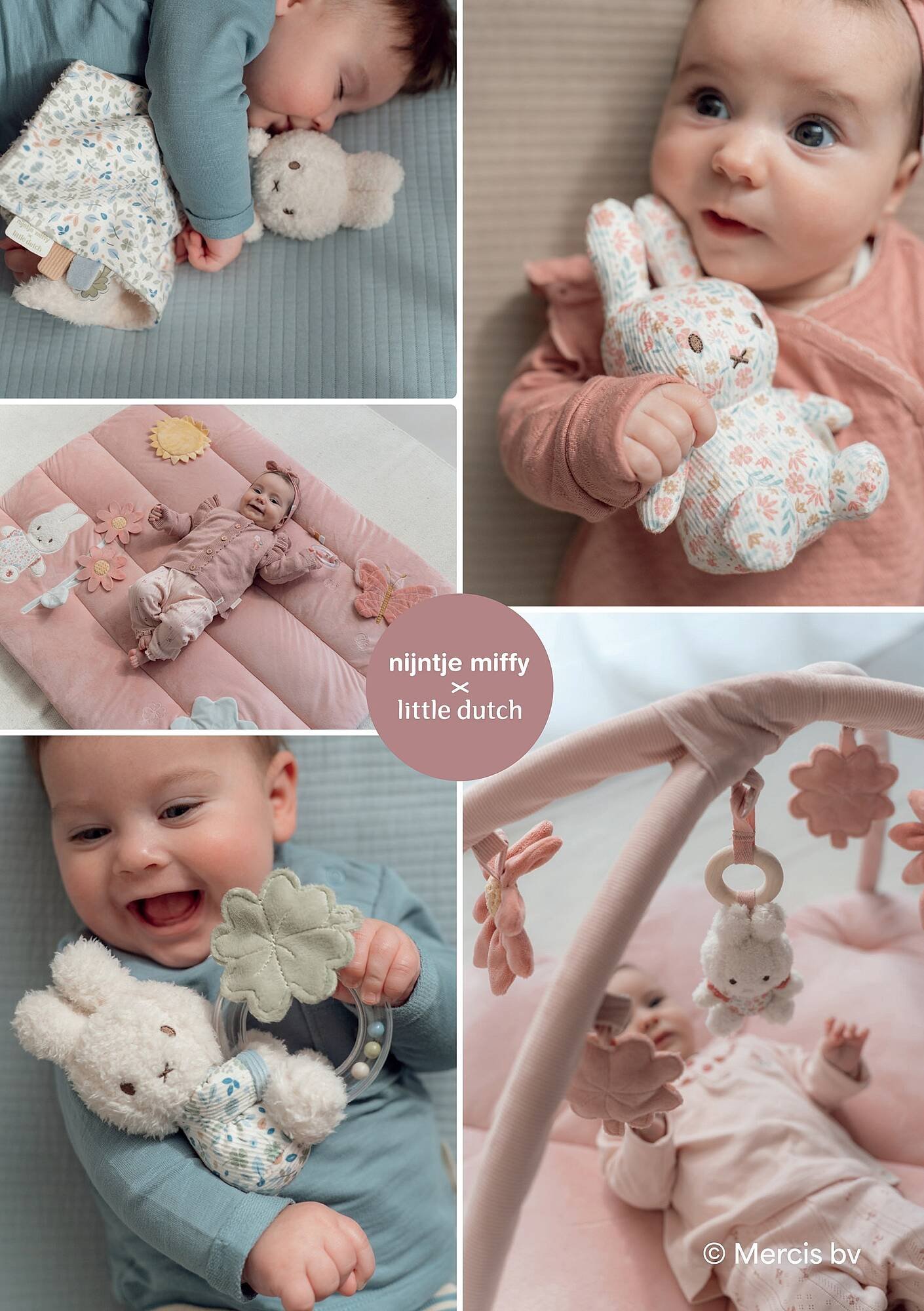 Baby-Dump folder (2025-10-28 - 2025-11-24)