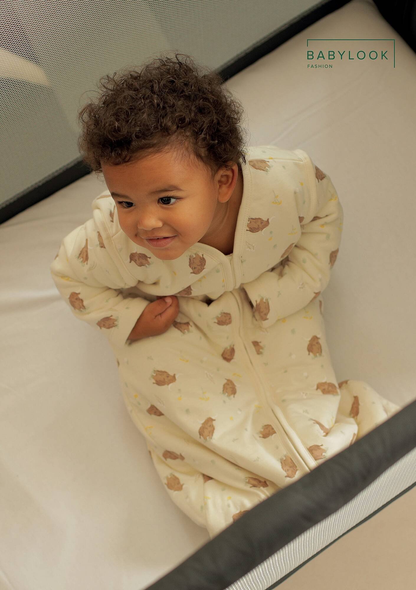 Baby-Dump folder (2025-10-28 - 2025-11-24)