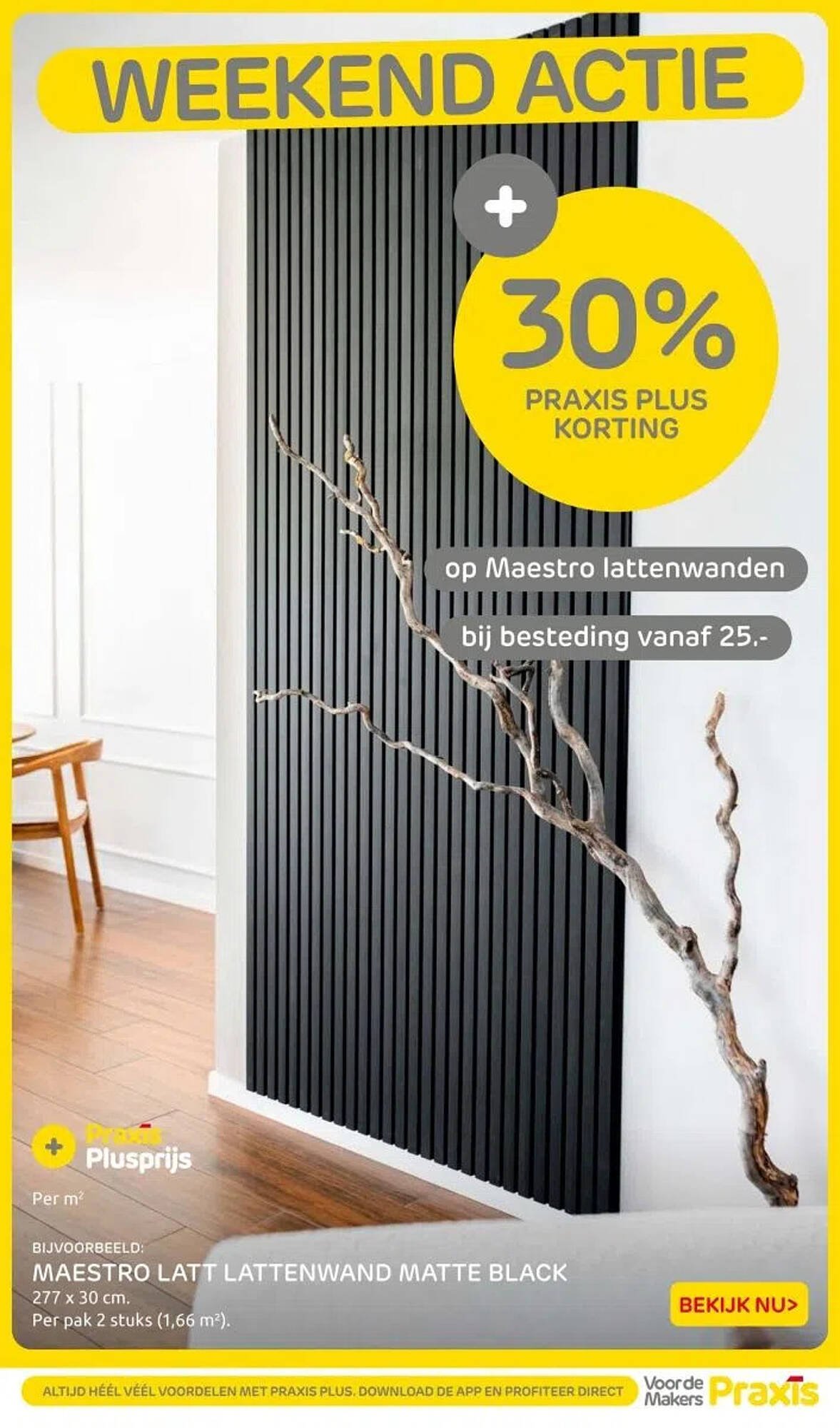 Praxis folder (2025-10-31 - 2025-11-02)