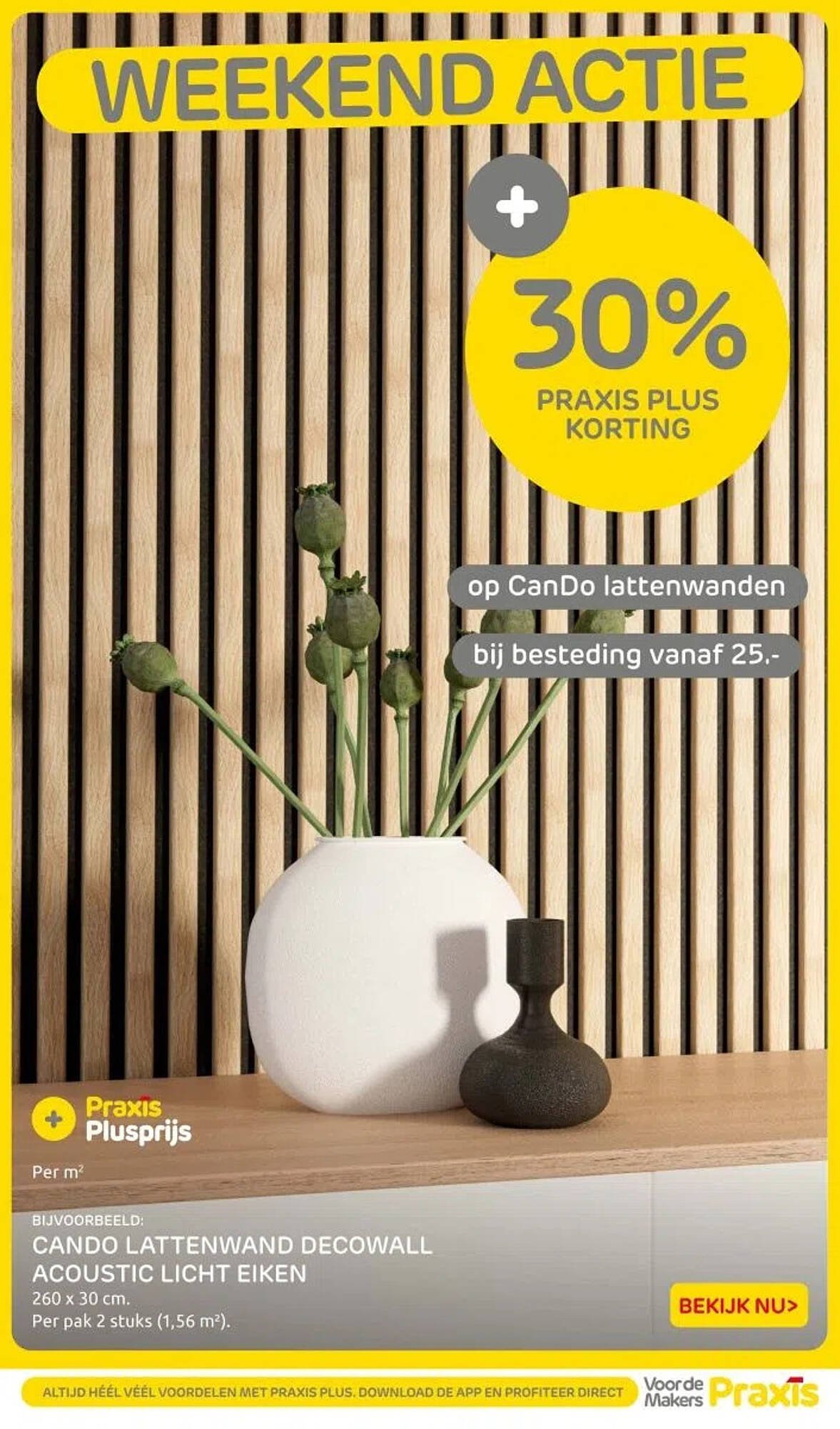 Praxis folder (2025-10-31 - 2025-11-02)