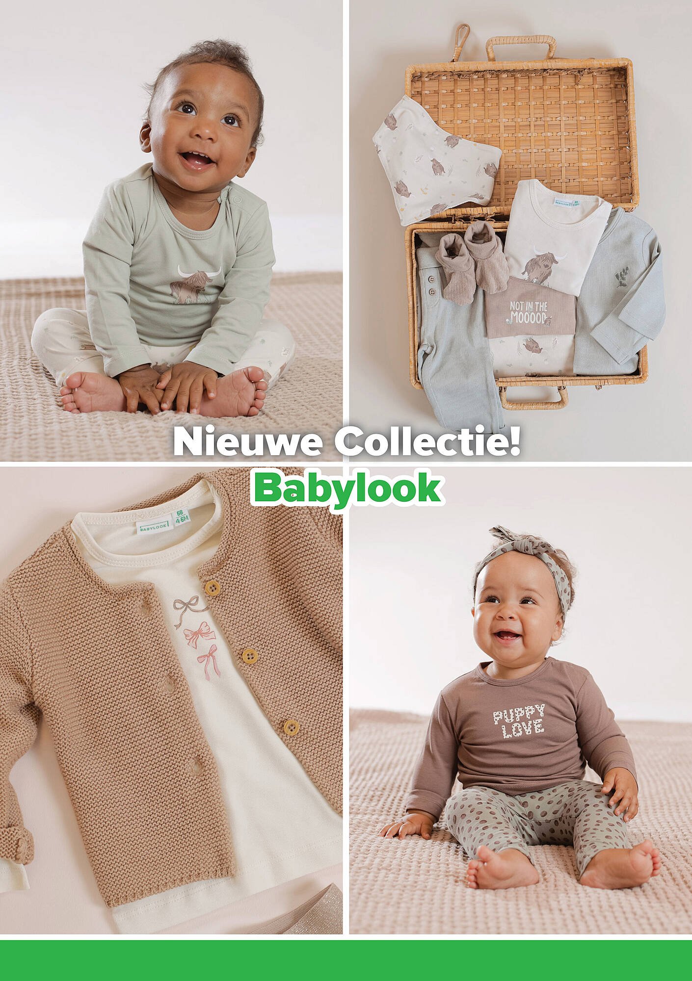 Baby-Dump folder (2025-08-21 - 2025-12-31)