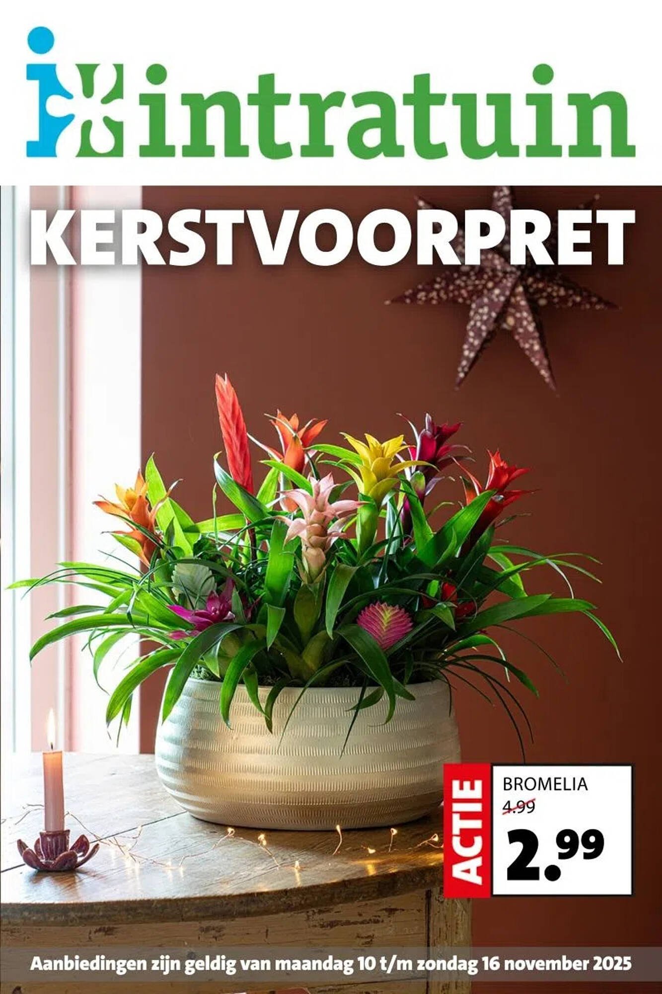 Intratuin folder (2025-11-10 - 2025-11-16)