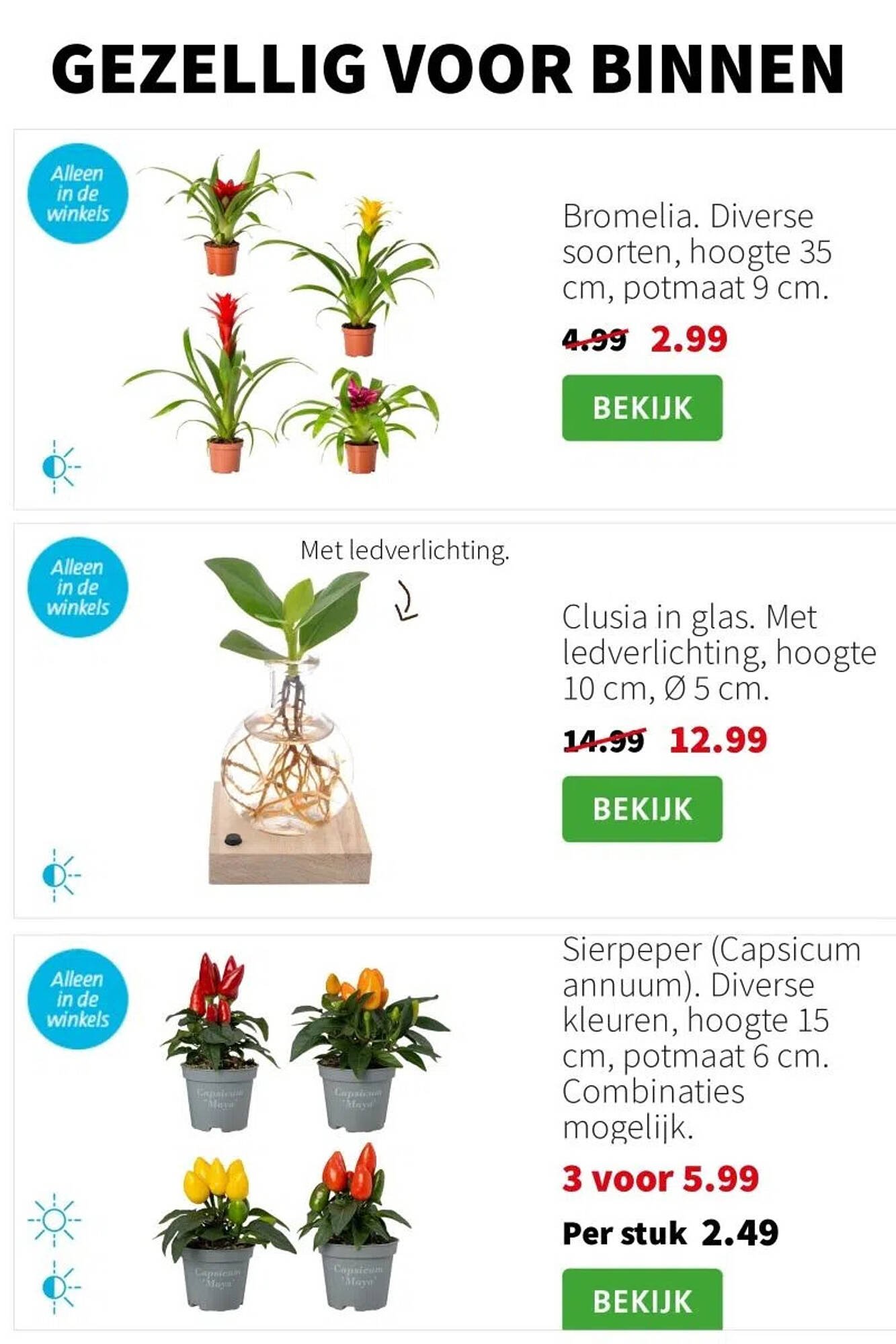 Intratuin folder (2025-11-10 - 2025-11-16)