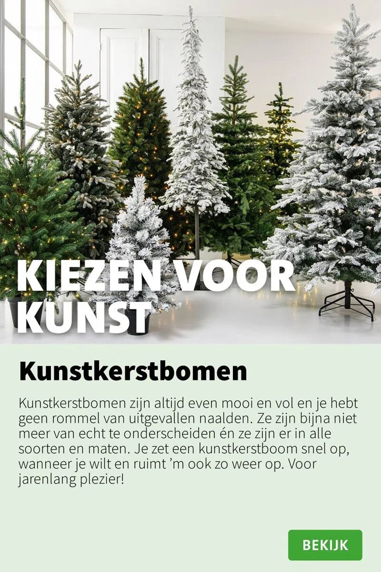 Intratuin folder (2025-11-10 - 2025-11-16)