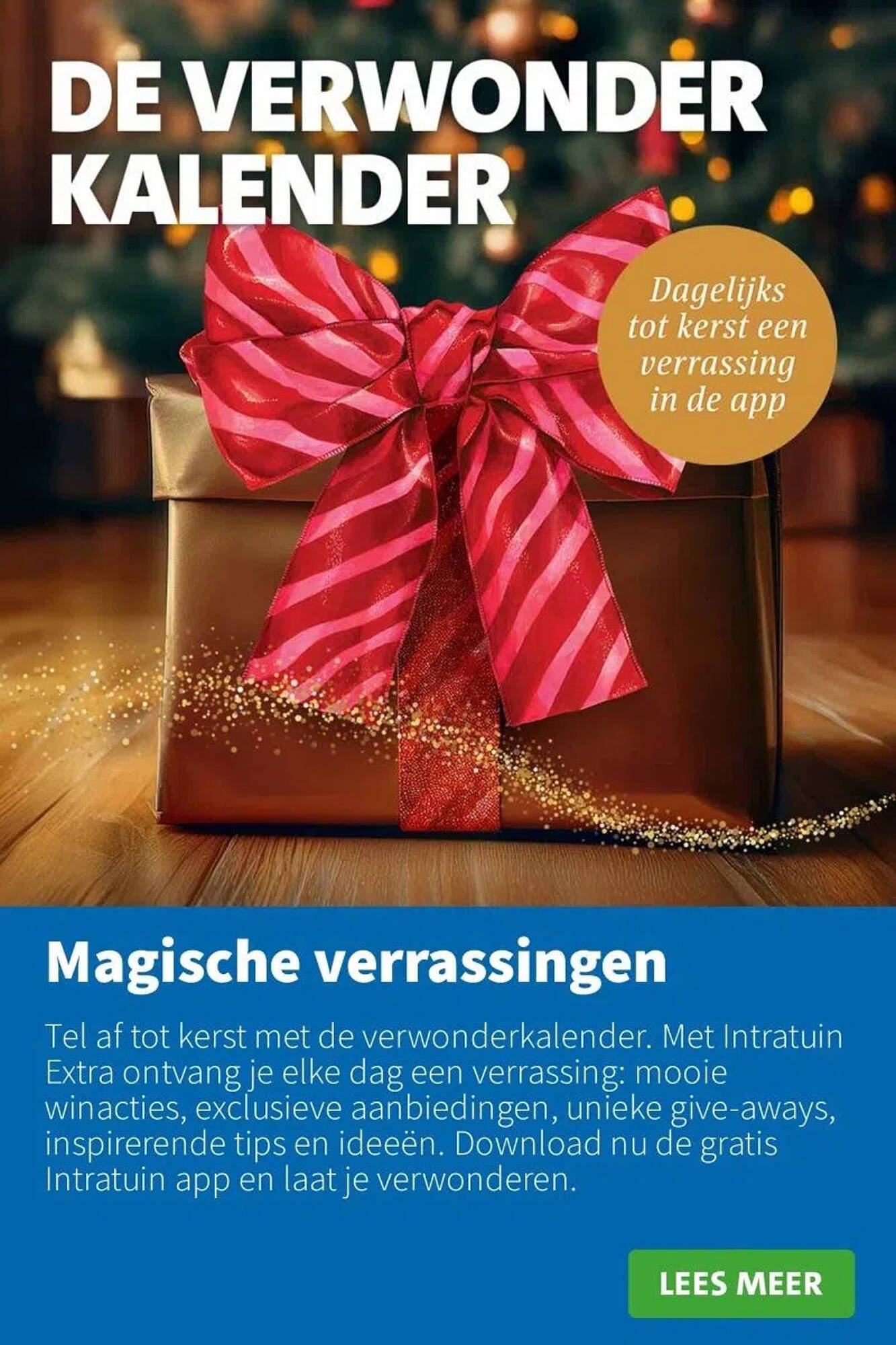 Intratuin folder (2025-11-10 - 2025-11-16)