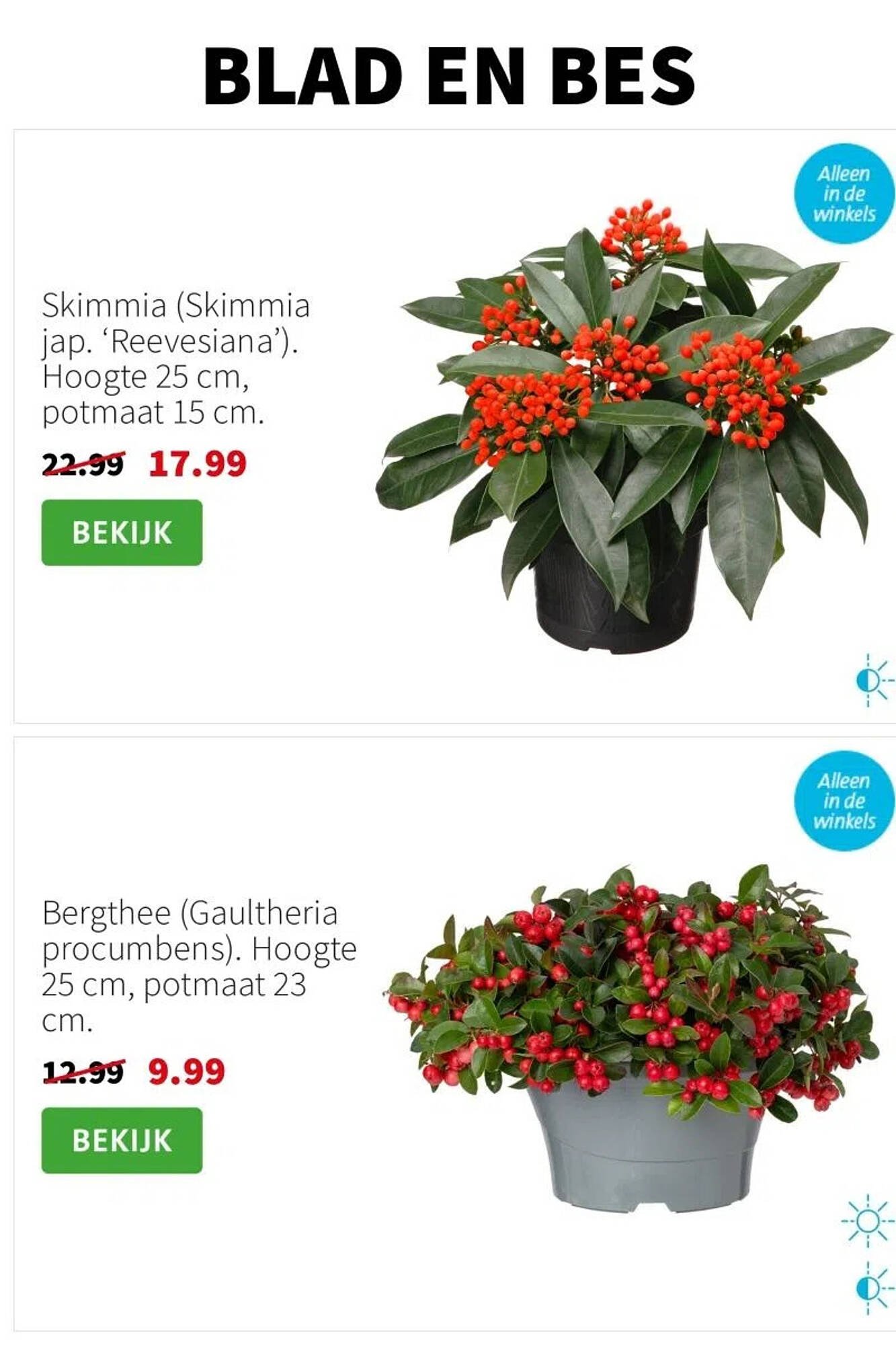 Intratuin folder (2025-11-10 - 2025-11-16)