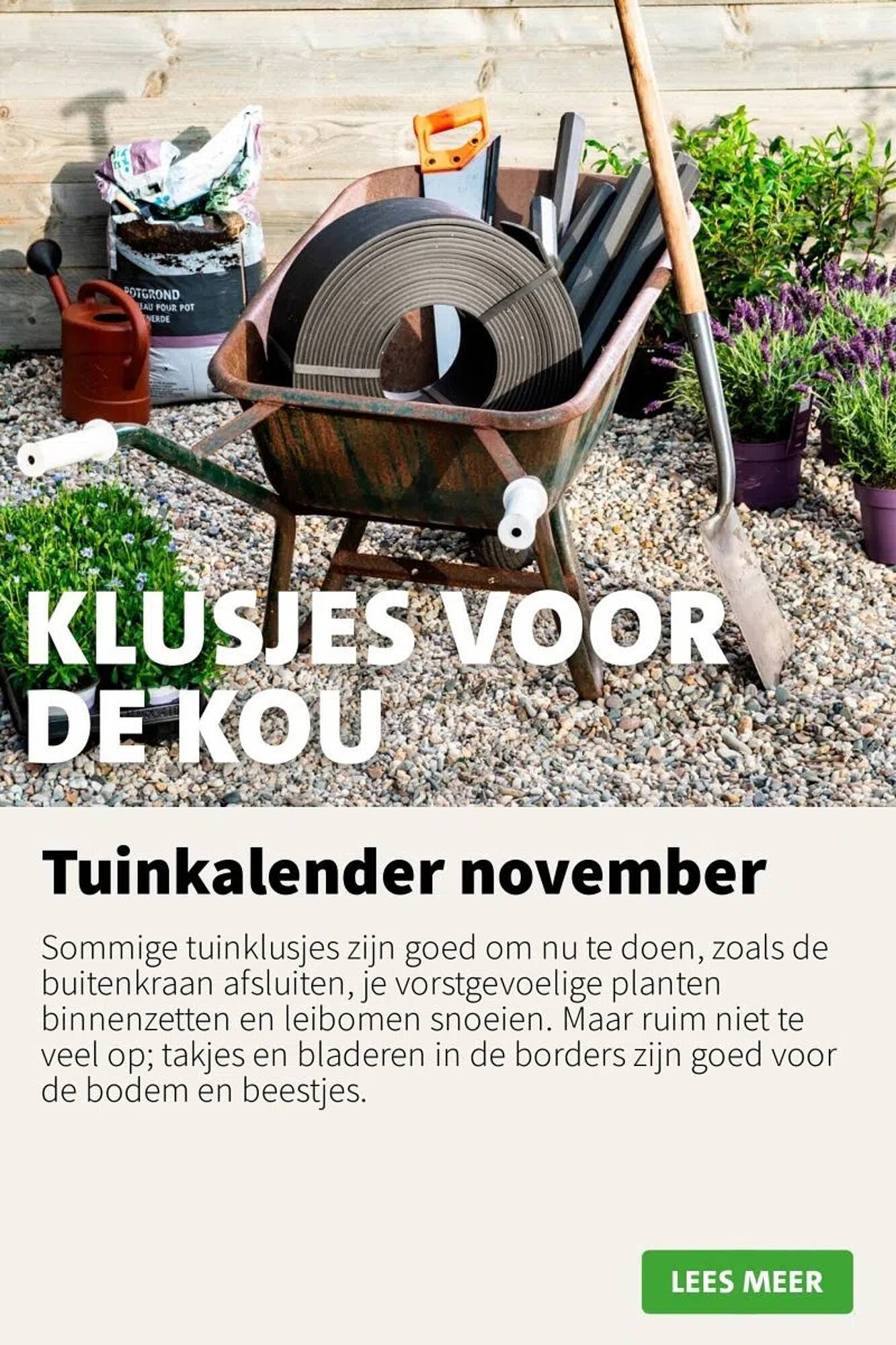 Intratuin folder (2025-11-10 - 2025-11-16)