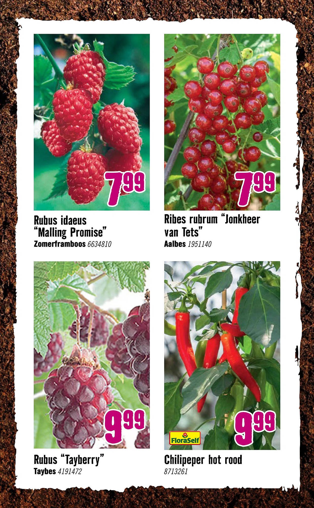 Hornbach folder (2026-04-06 - 2026-05-03)