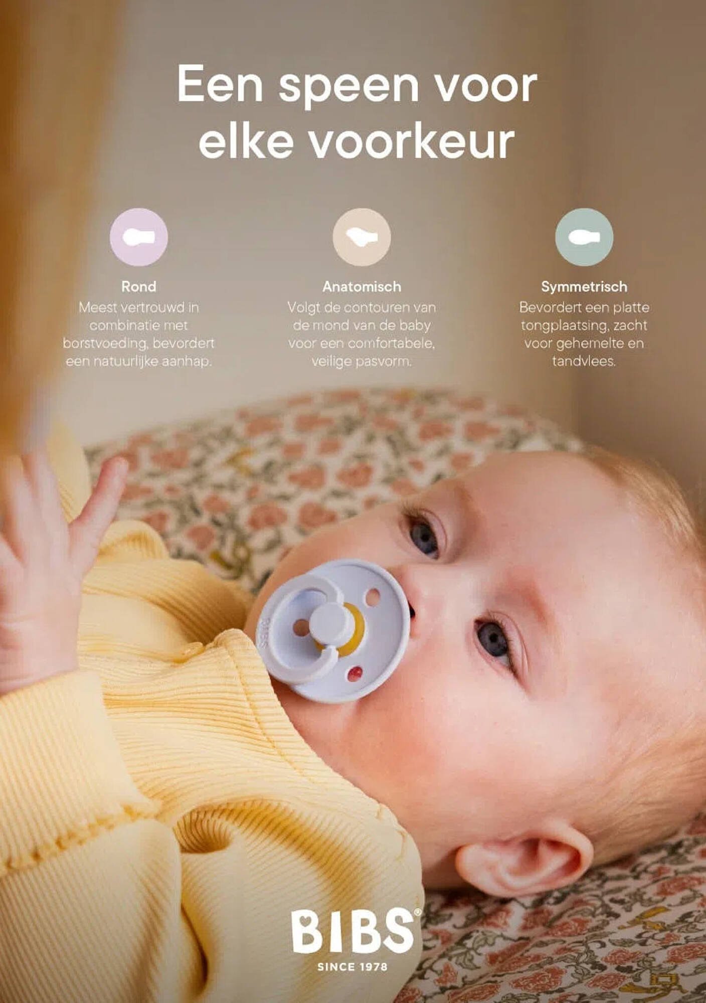 Baby-Dump folder