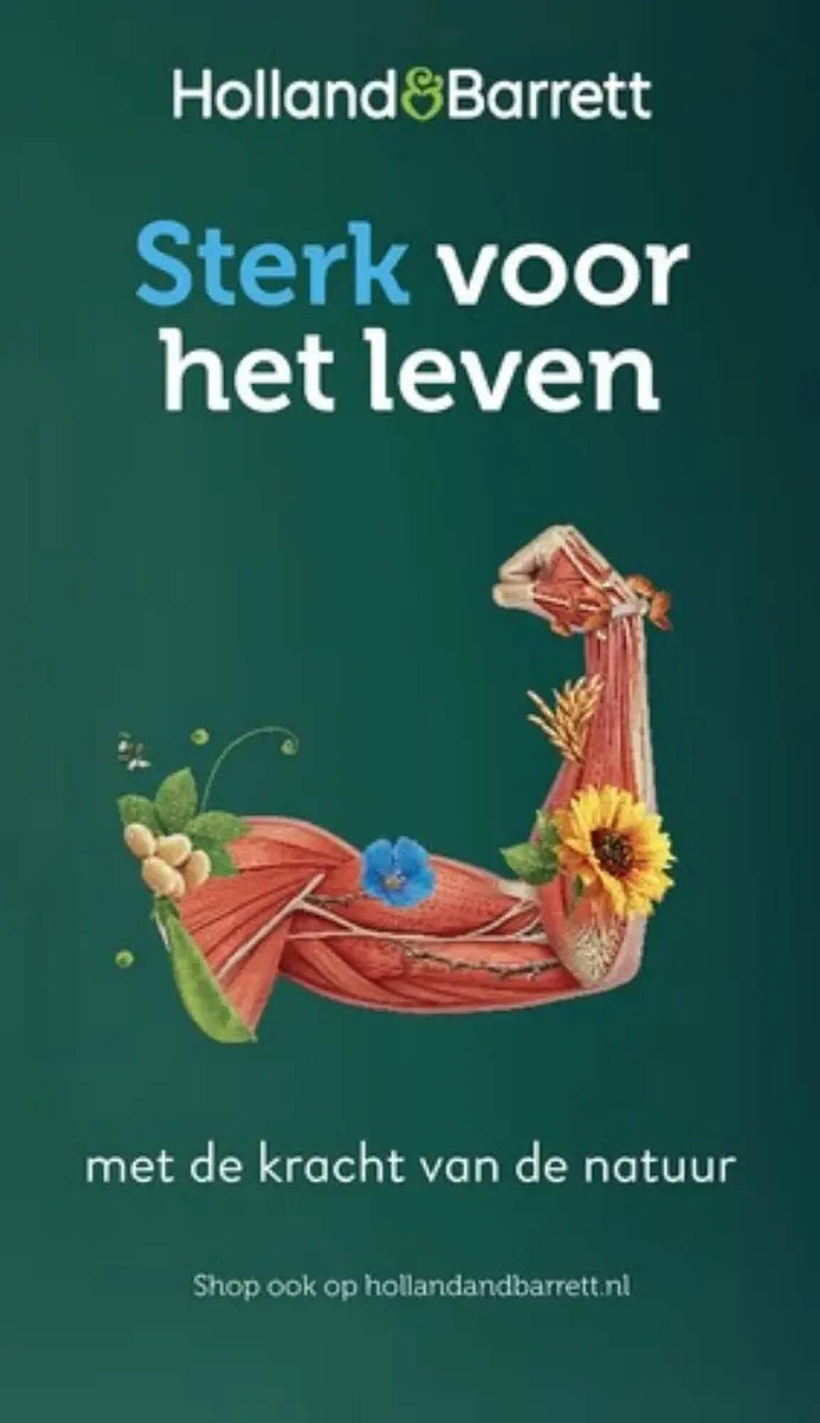 Holland &amp; Barrett folder