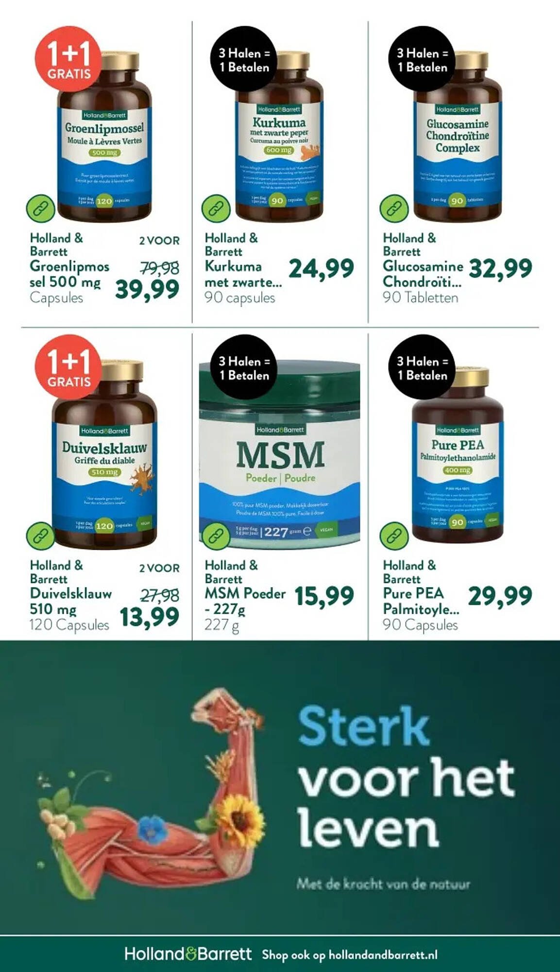 Holland &amp; Barrett folder