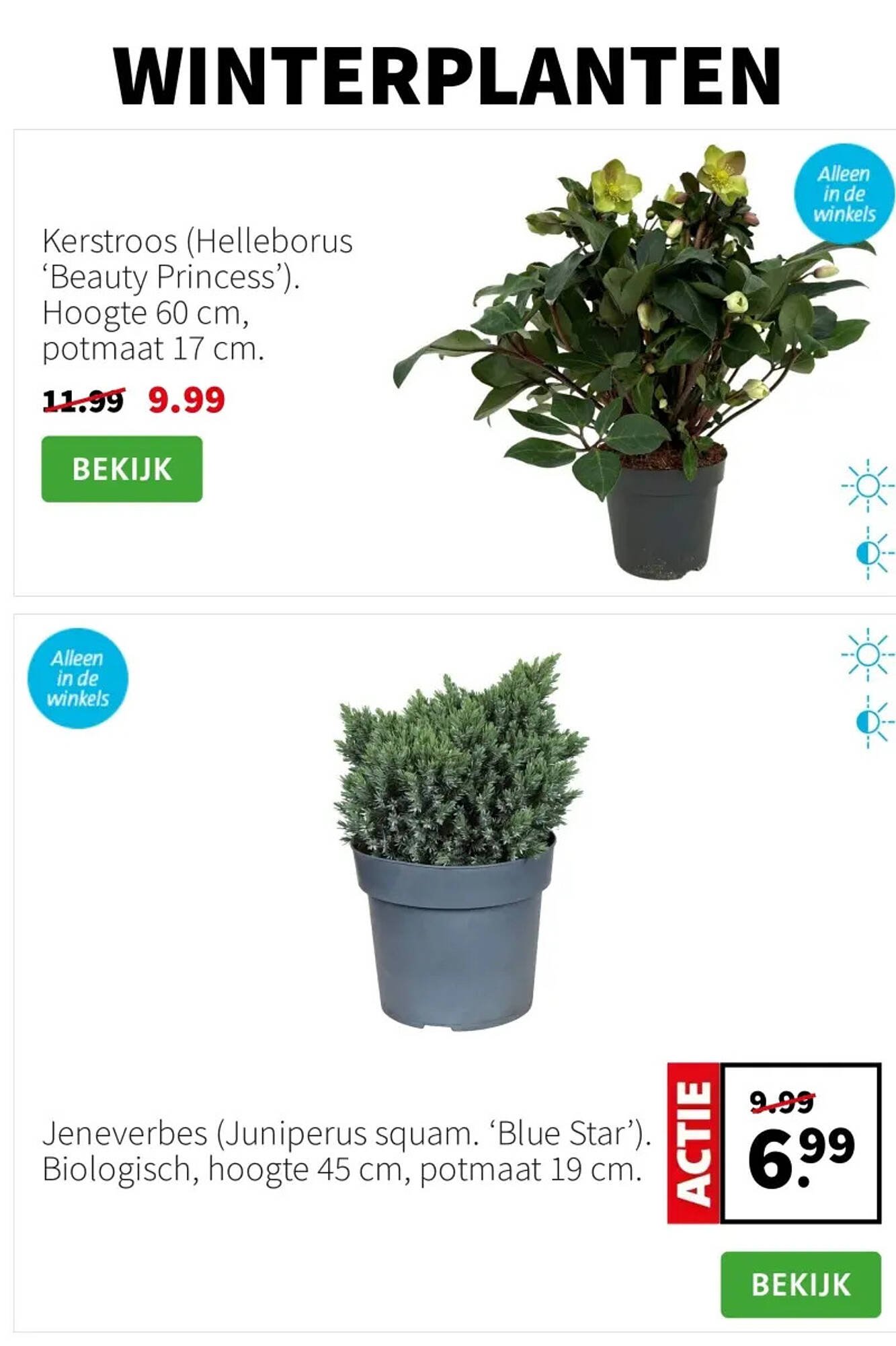 Intratuin folder (2025-11-03 - 2025-11-09)