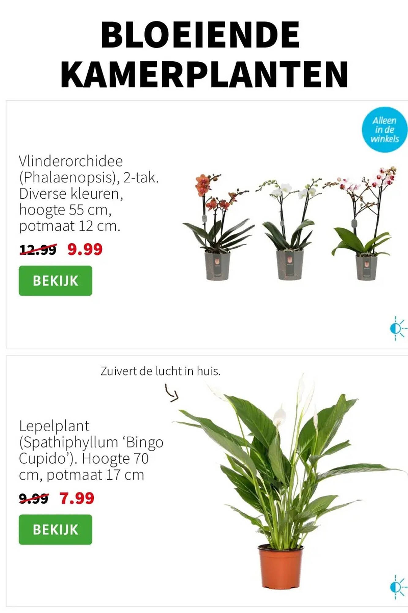 Intratuin folder (2025-11-03 - 2025-11-09)