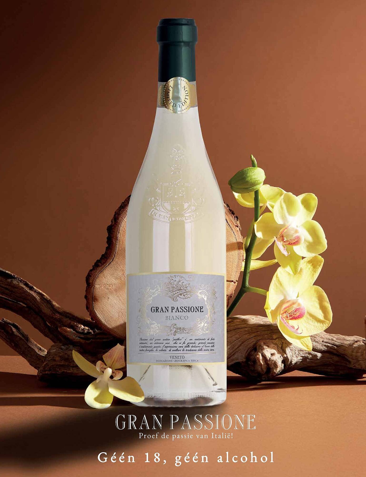 Mitra Magazine (2026-04-13 - 2026-05-30)