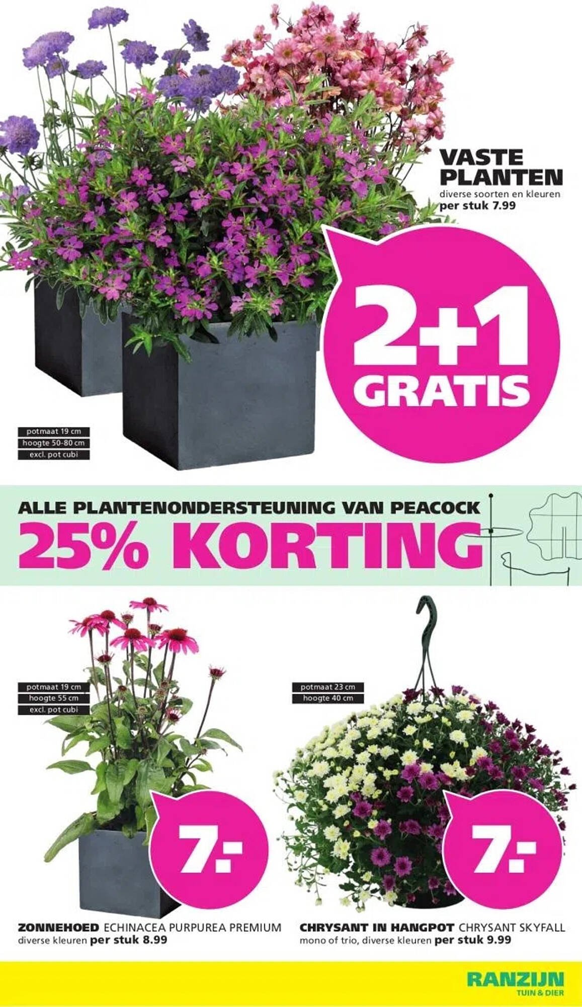 Ranzijn folder (2025-07-27 - 2025-08-09)