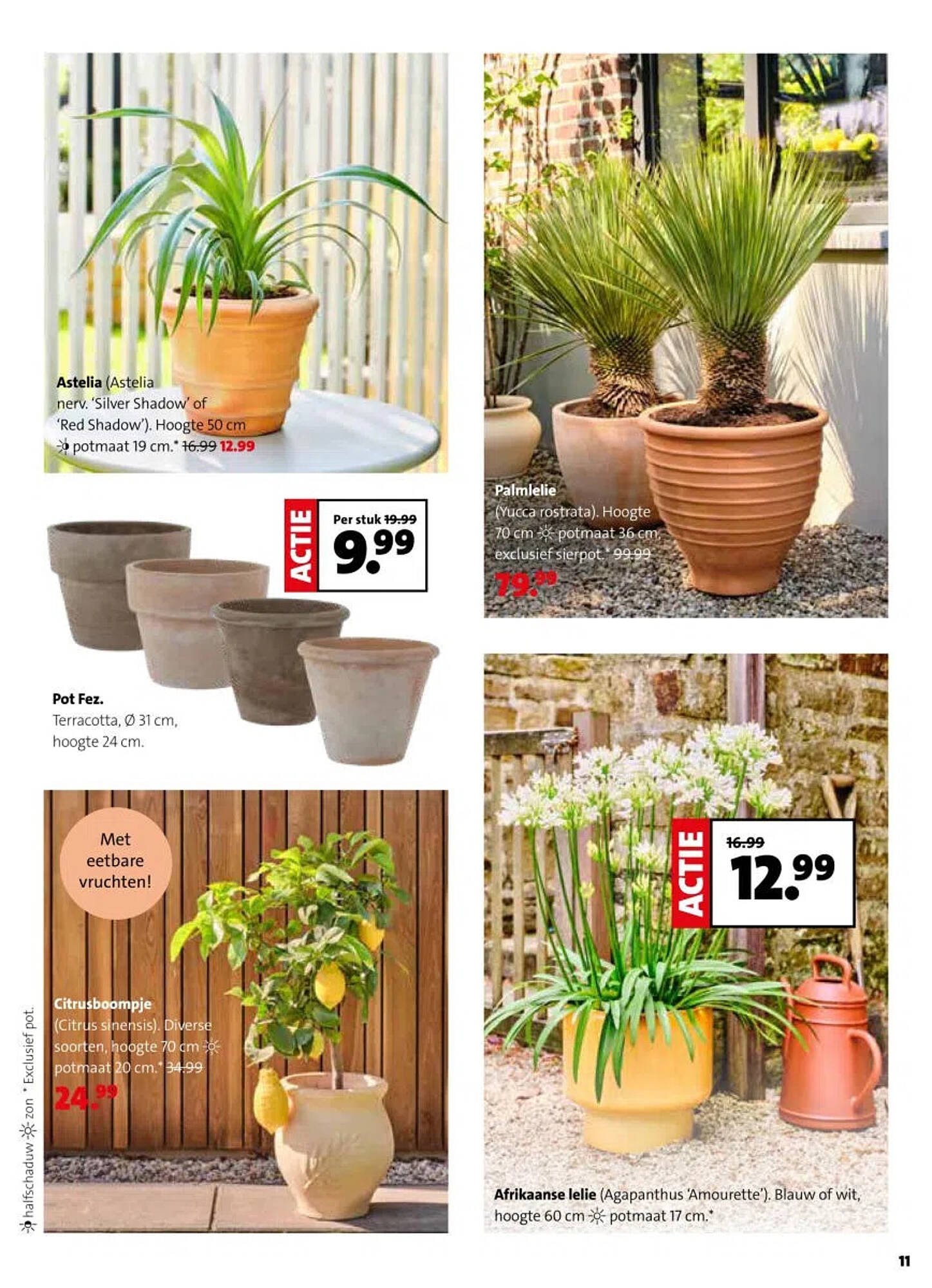 Intratuin folder (2026-04-13 - 2026-04-19)