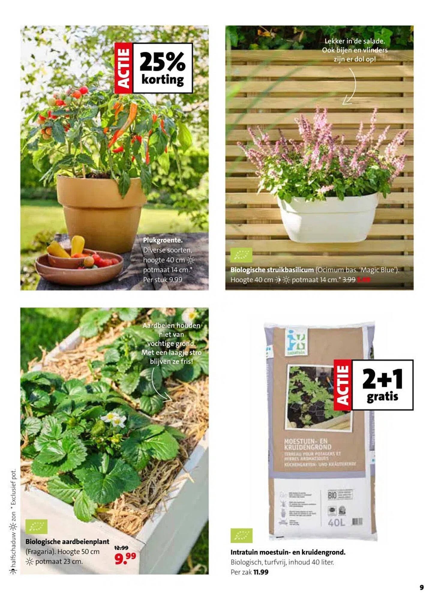 Intratuin folder (2026-04-13 - 2026-04-19)