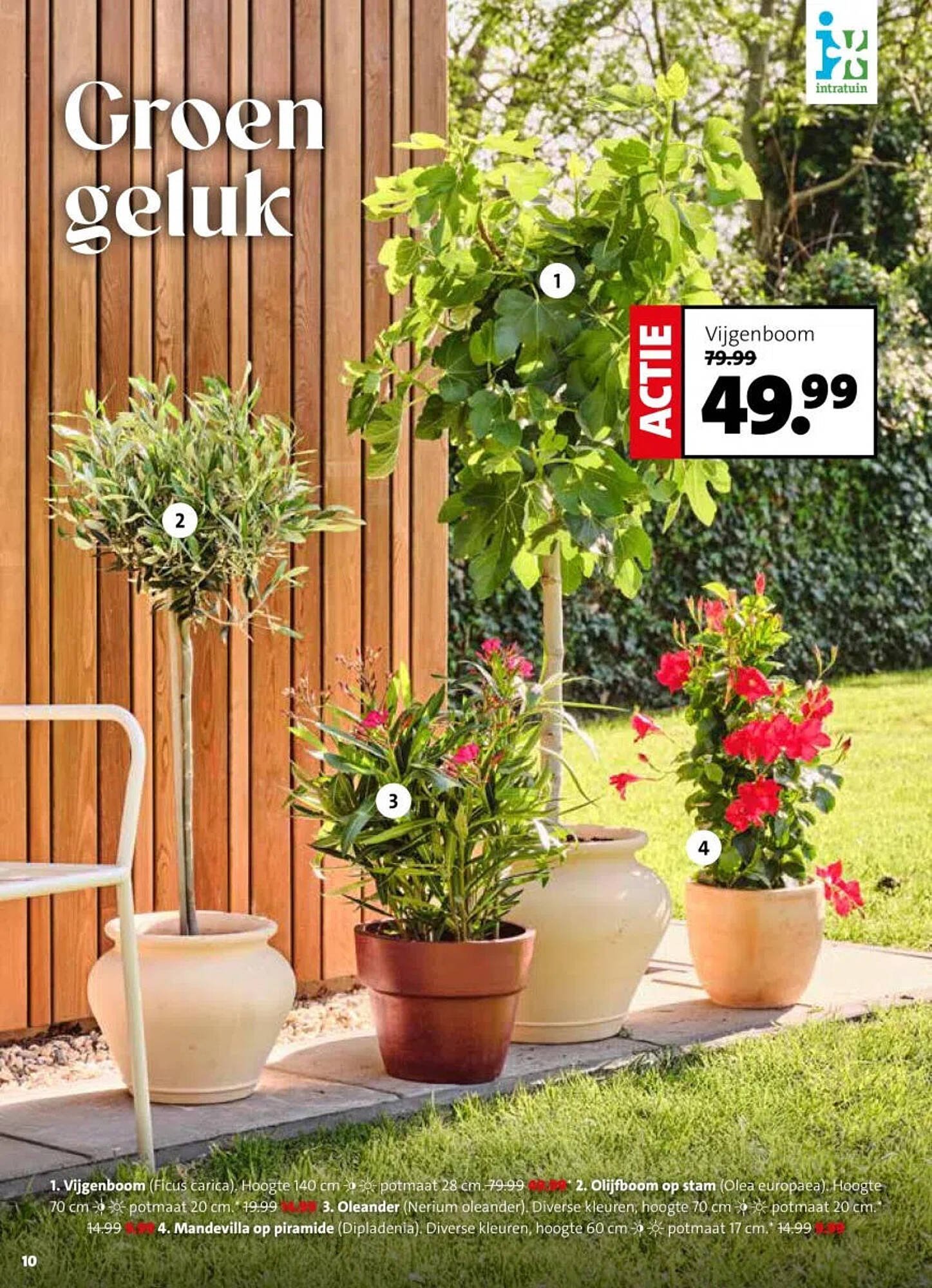 Intratuin folder (2026-04-13 - 2026-04-19)