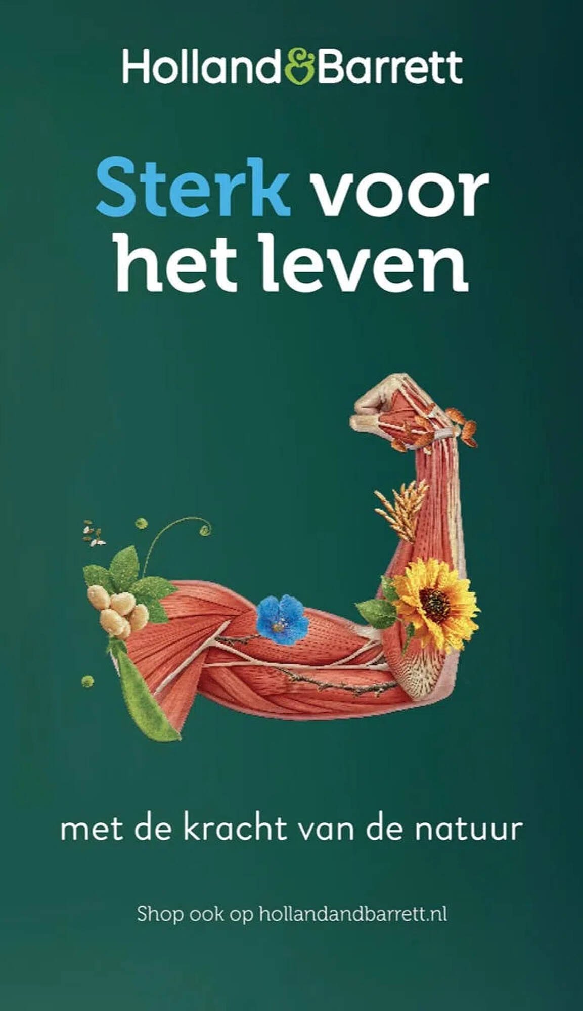 Holland &amp; Barrett folder (2026-04-13 - 2026-04-19)