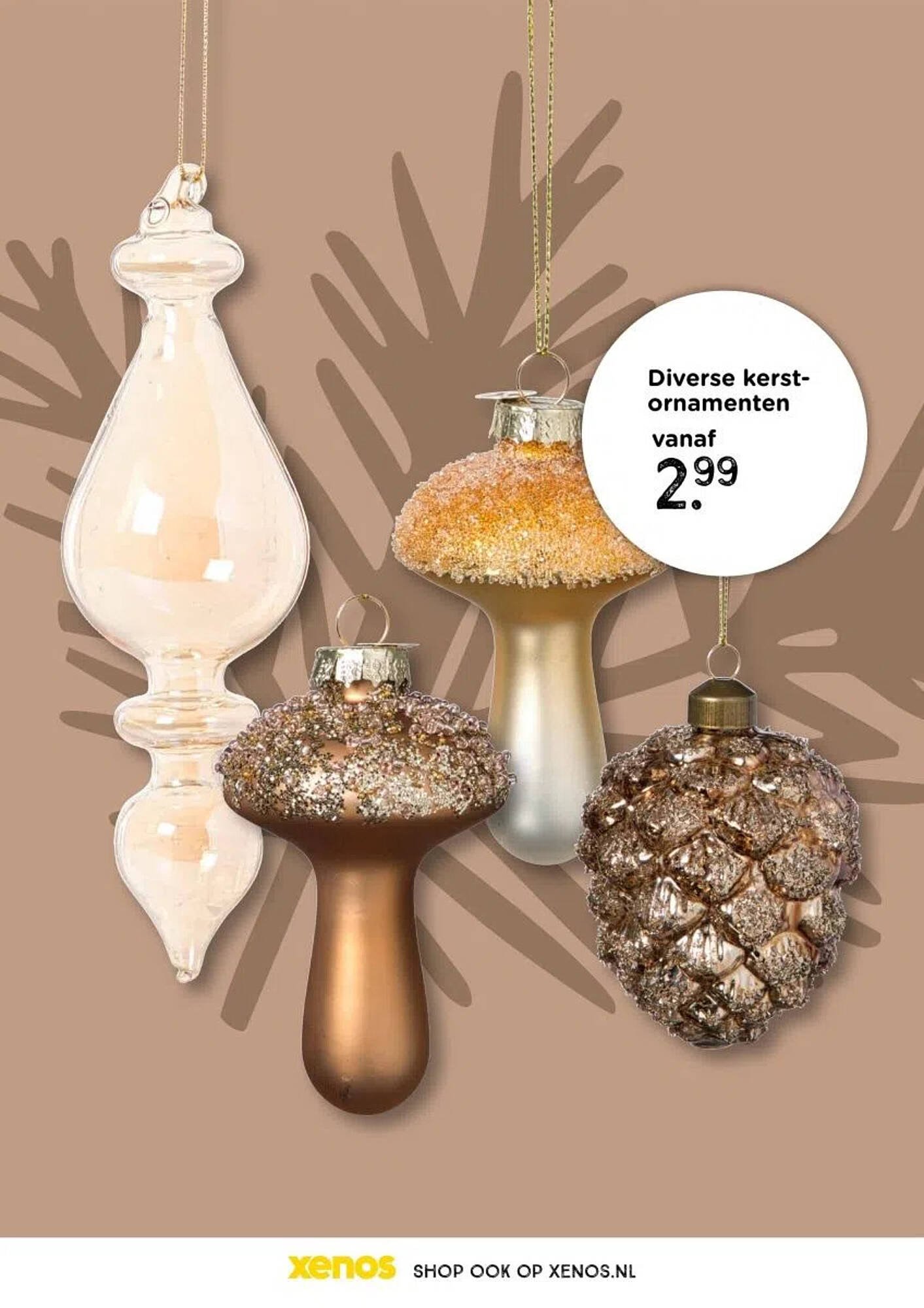 Xenos folder (2025-10-26 - 2026-01-01)