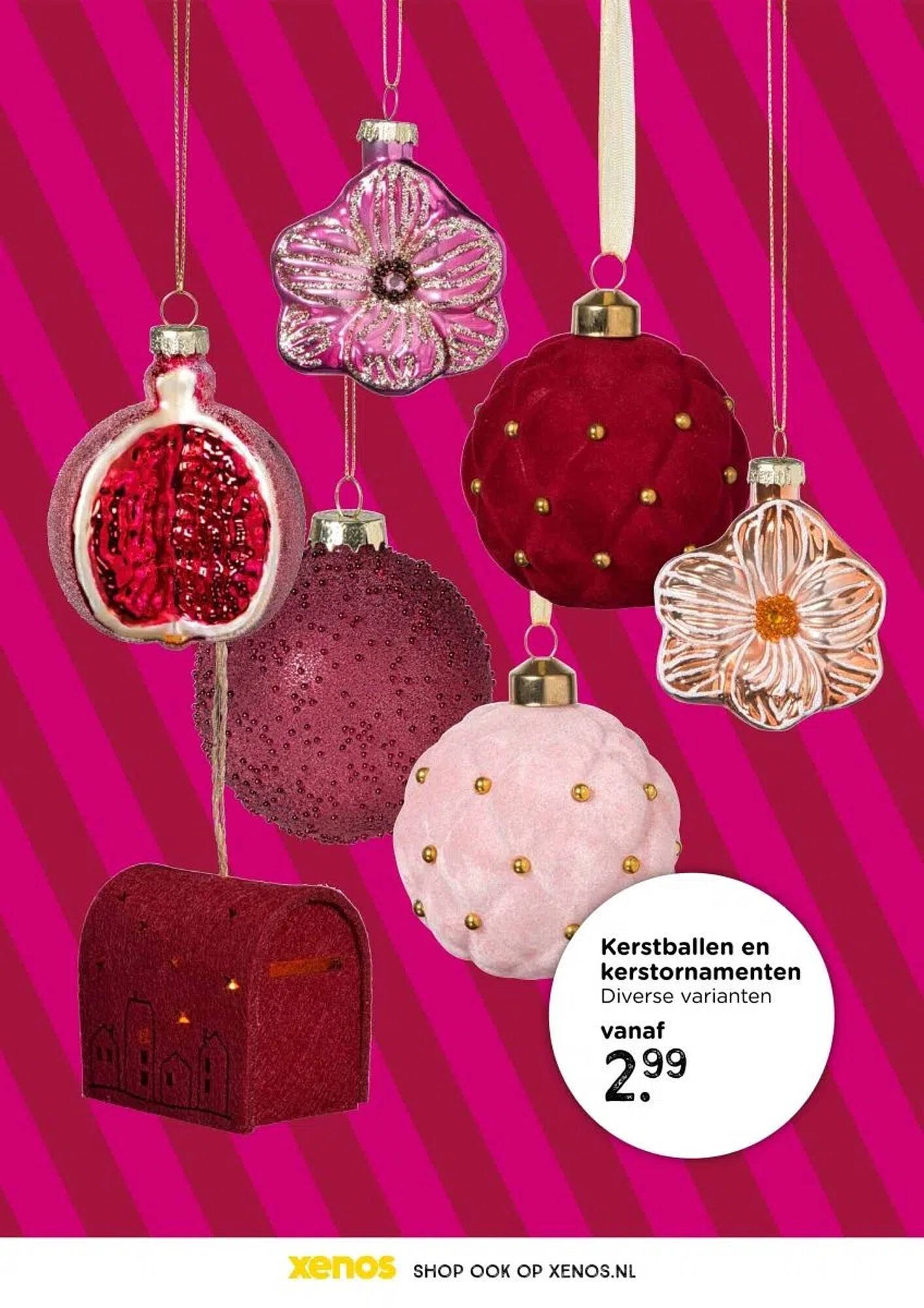 Xenos folder (2025-10-26 - 2026-01-01)