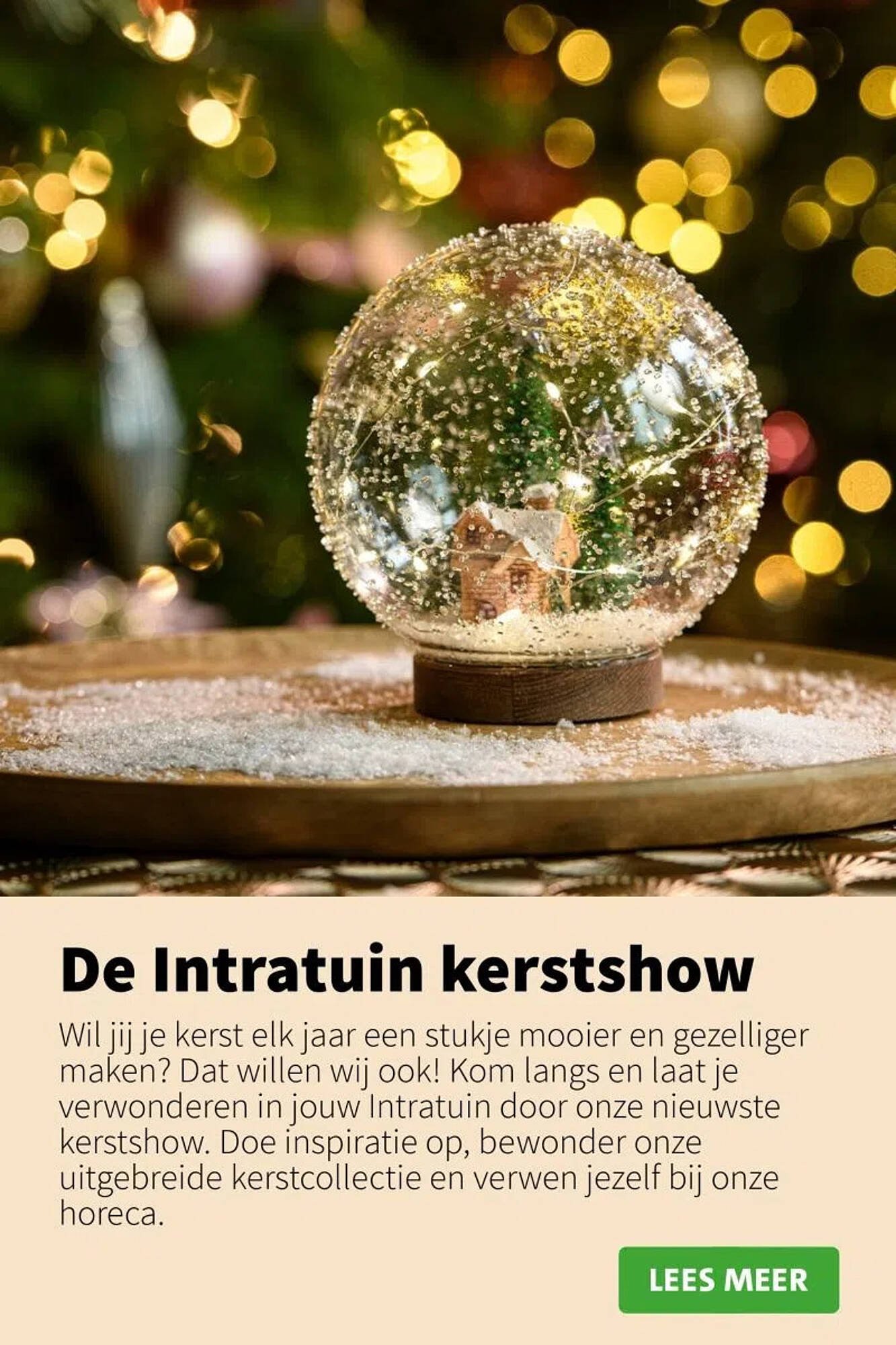 Intratuin folder (2025-10-09 - 2025-12-24)