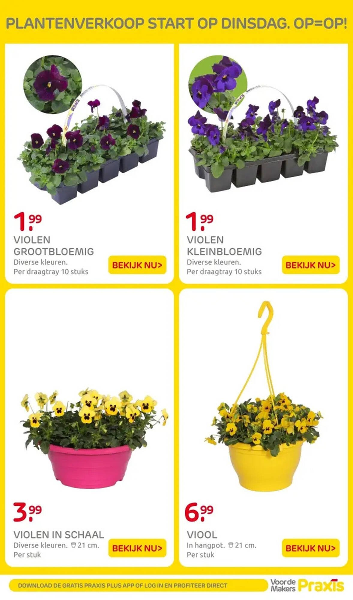 Praxis folder (2026-02-16 - 2026-02-22)