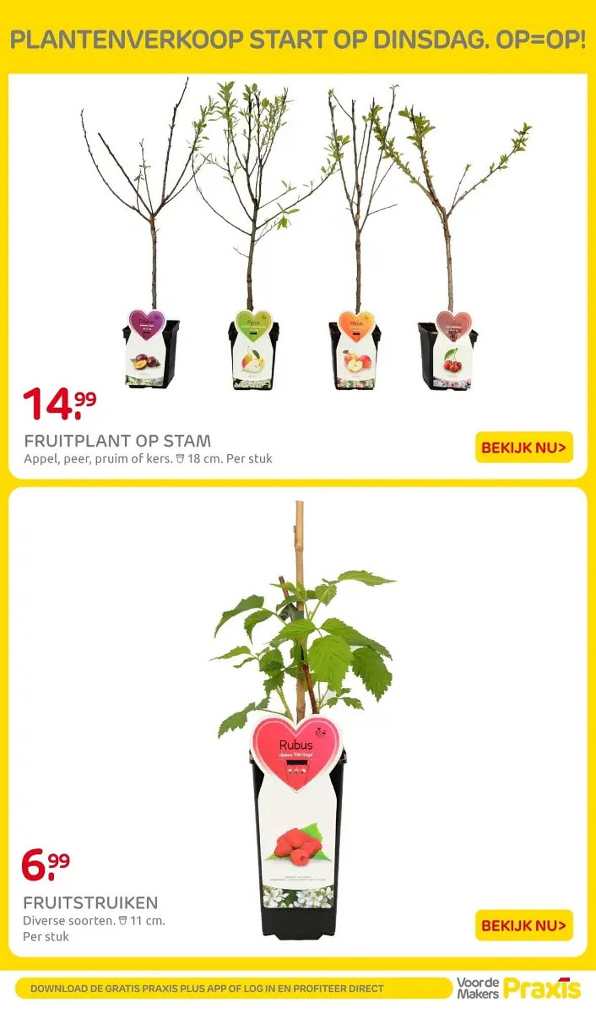 Praxis folder (2026-02-16 - 2026-02-22)