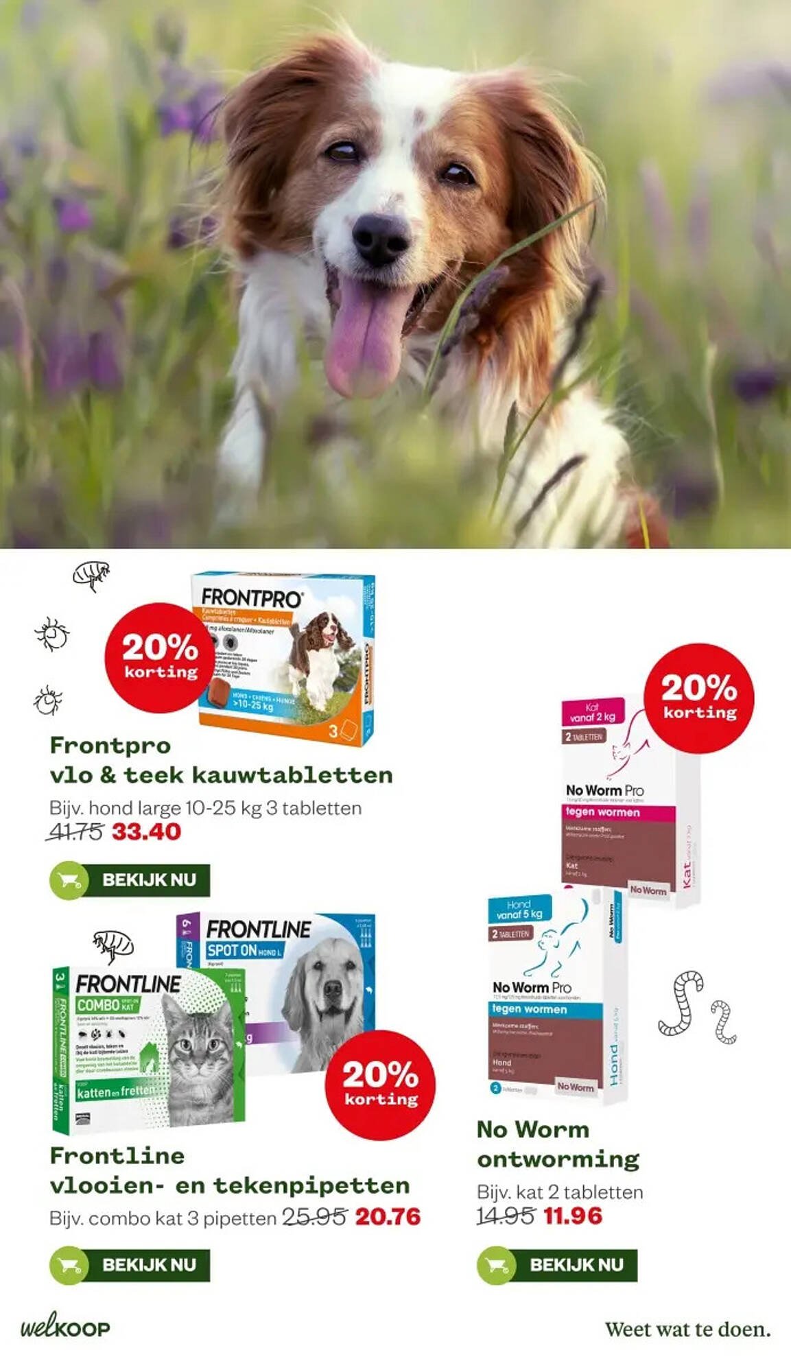 Welkoop folder (2026-02-16 - 2026-03-01)