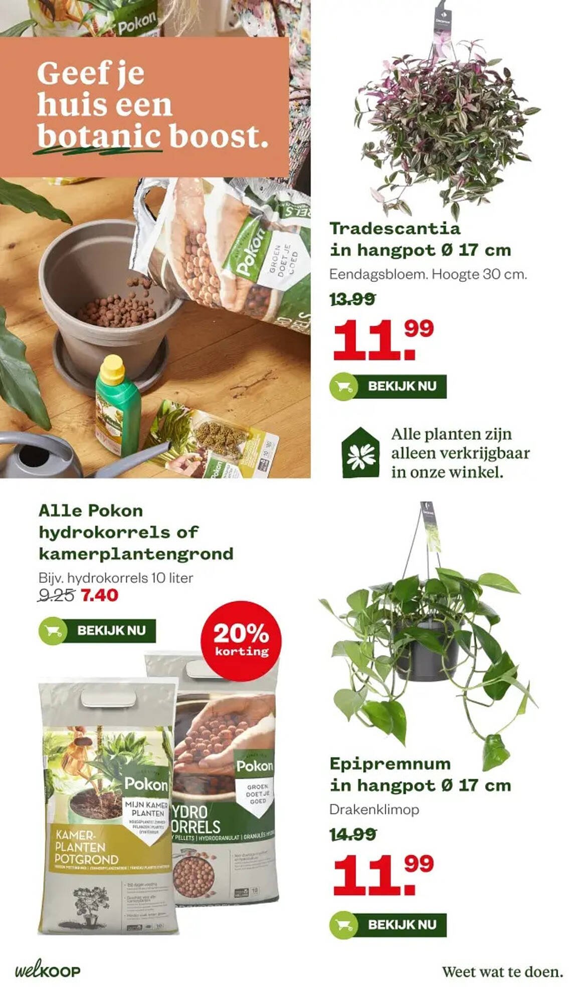 Welkoop folder (2026-02-16 - 2026-03-01)