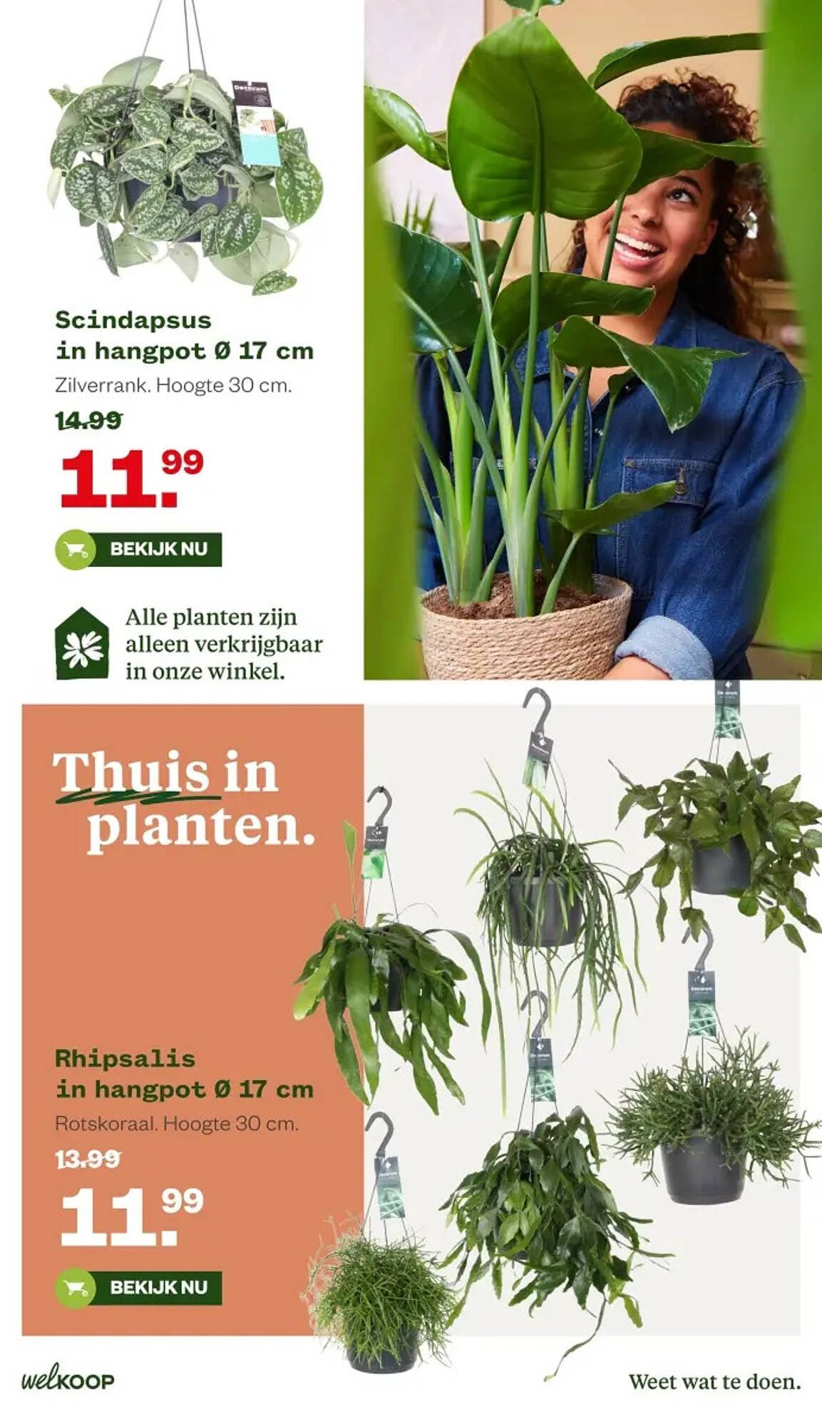 Welkoop folder (2026-02-16 - 2026-03-01)