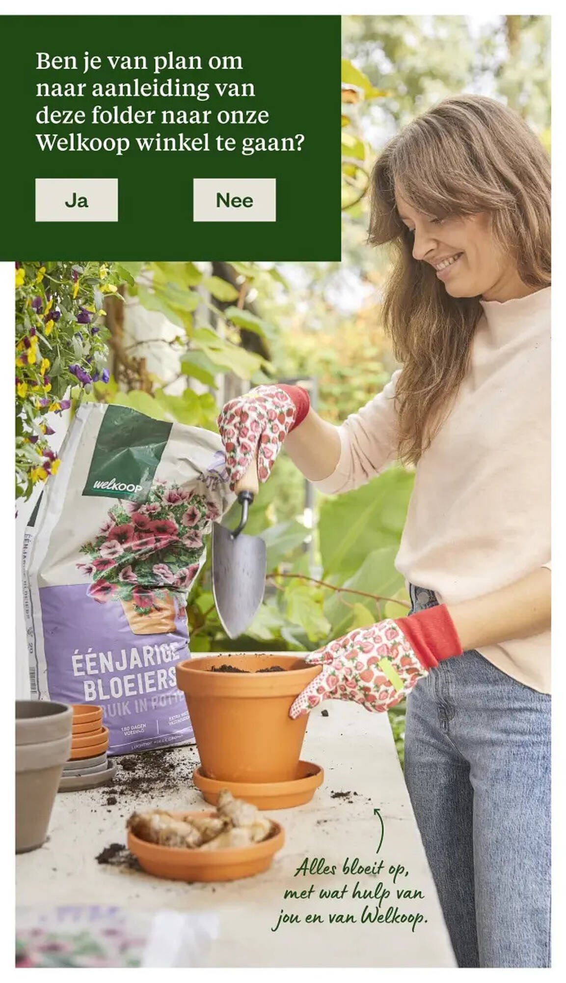 Welkoop folder (2026-02-16 - 2026-03-01)