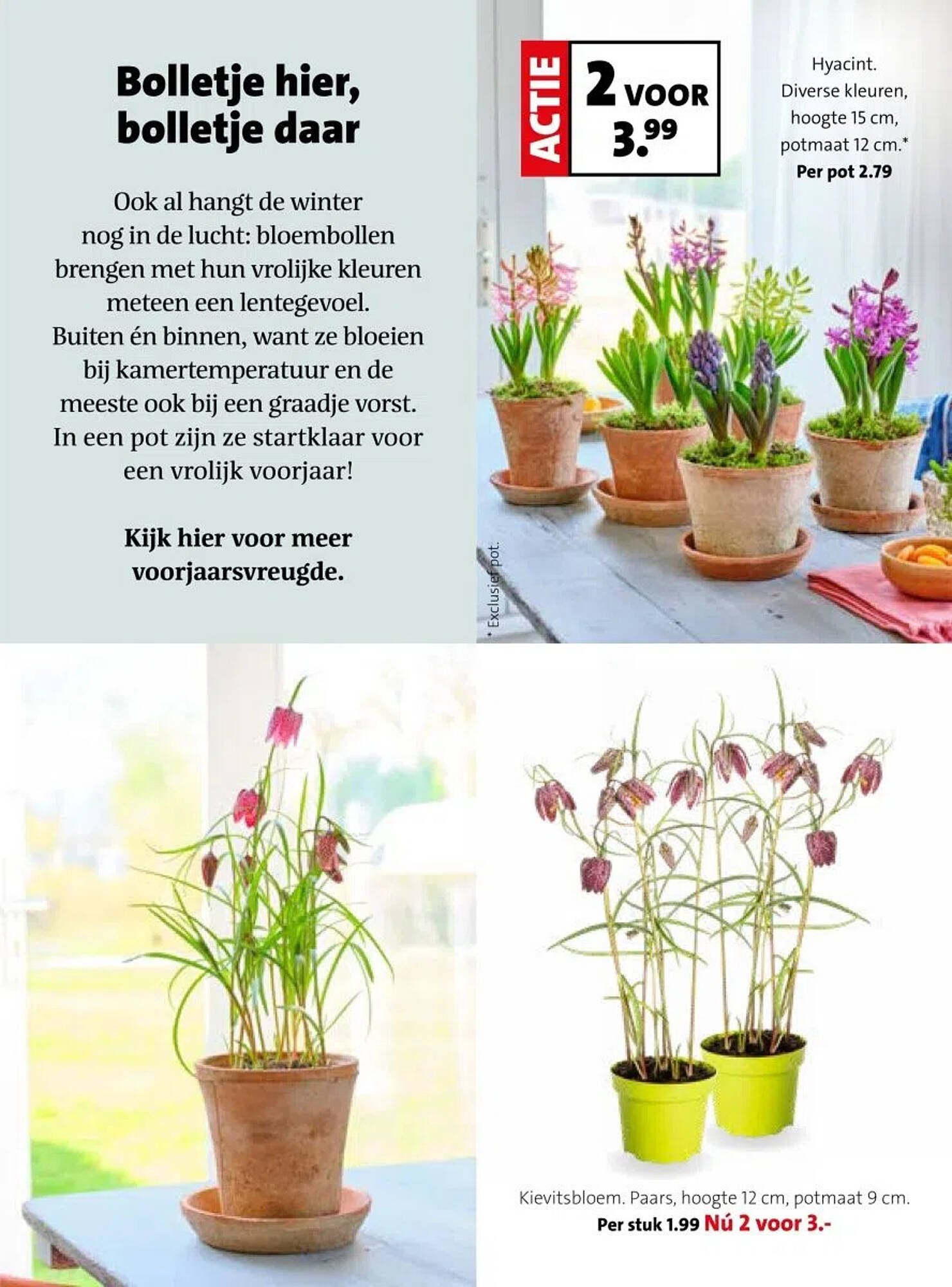 Intratuin folder (2026-02-16 - 2026-02-22)