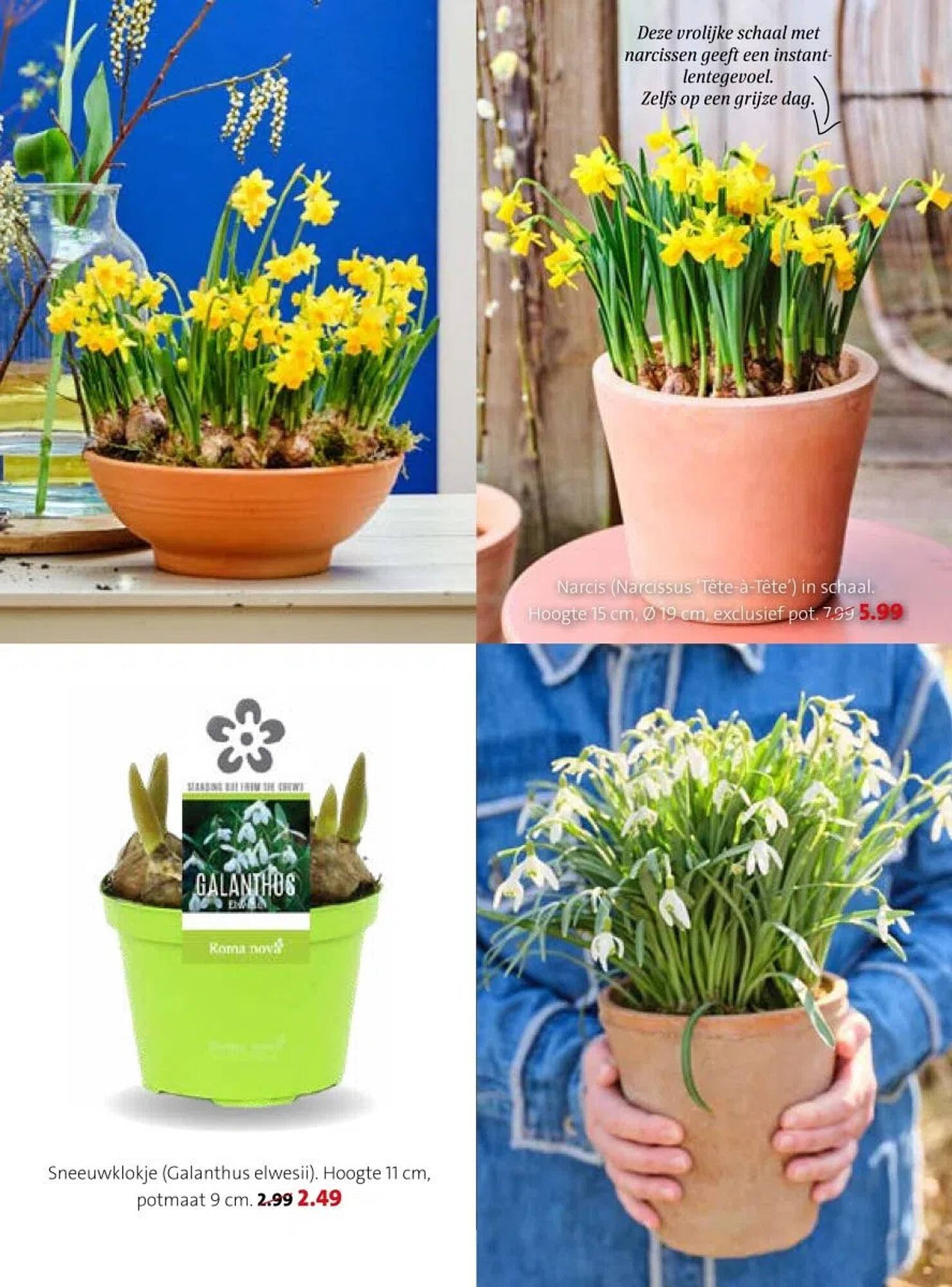 Intratuin folder (2026-02-16 - 2026-02-22)