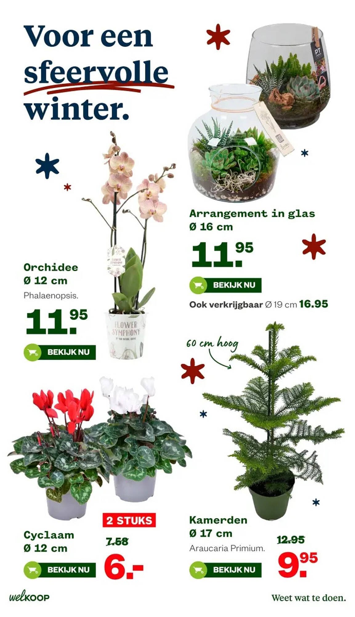 Welkoop folder (2025-11-10 - 2025-11-23)