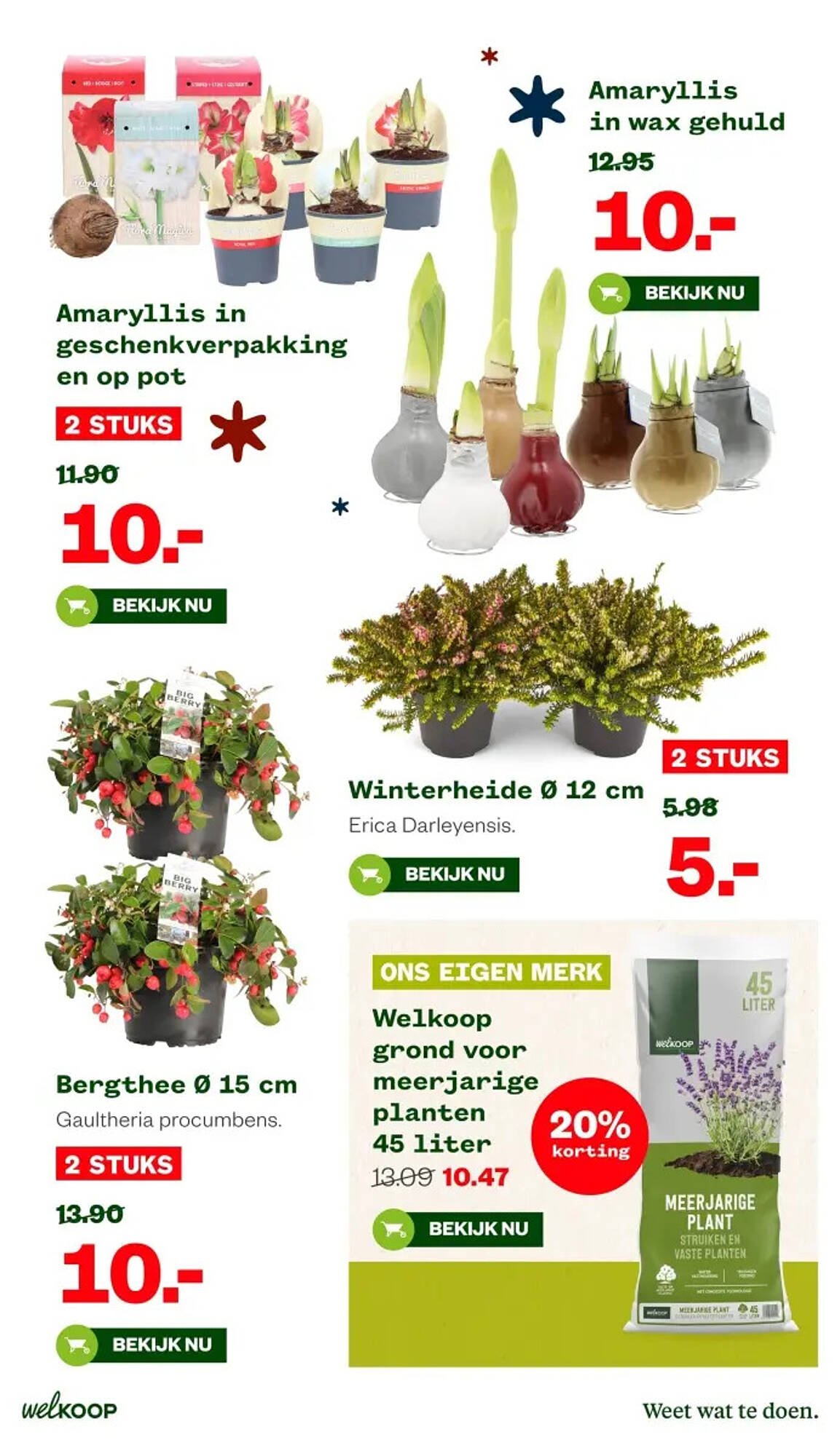 Welkoop folder (2025-11-10 - 2025-11-23)