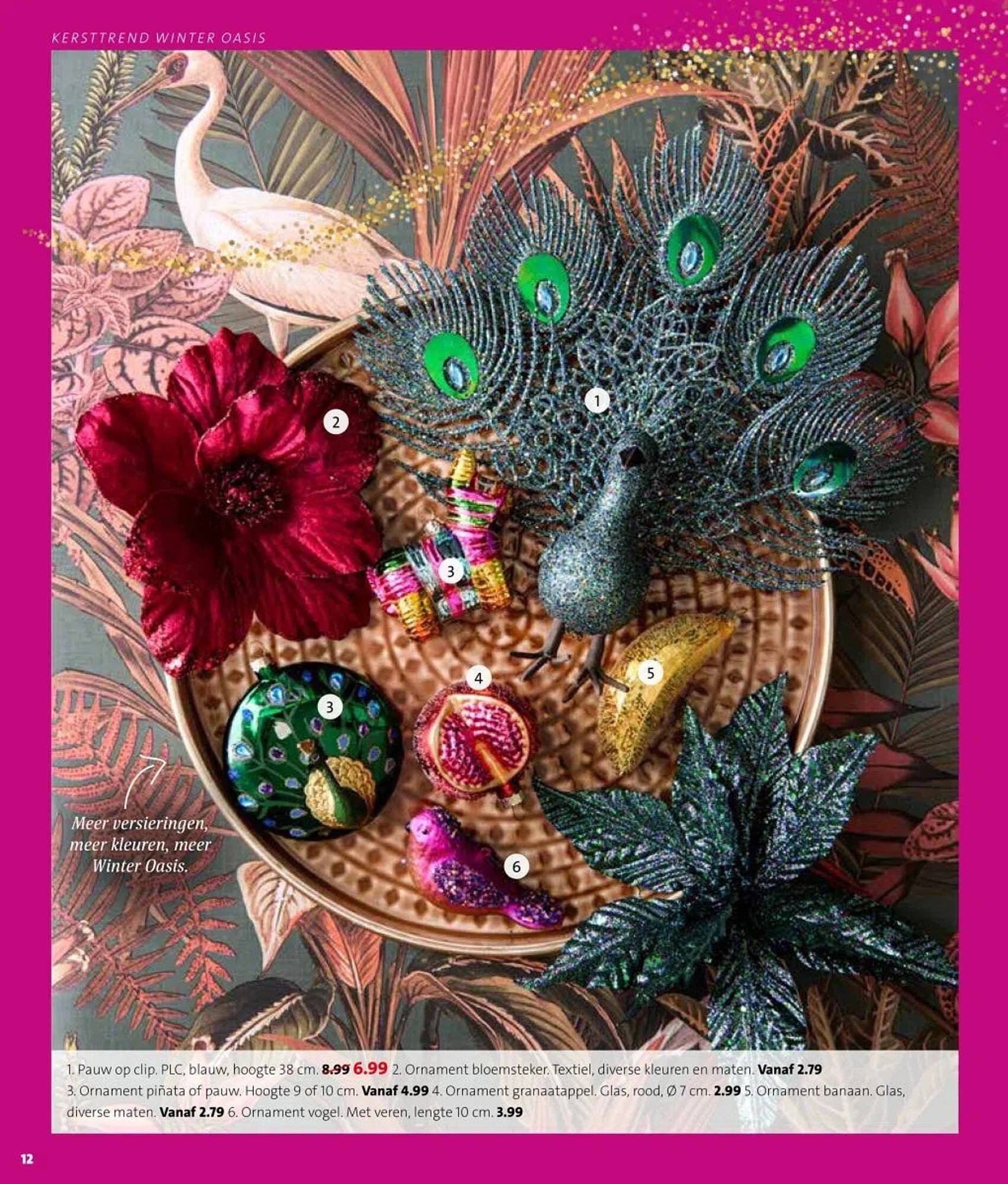 Intratuin folder (2025-10-27 - 2025-11-02)