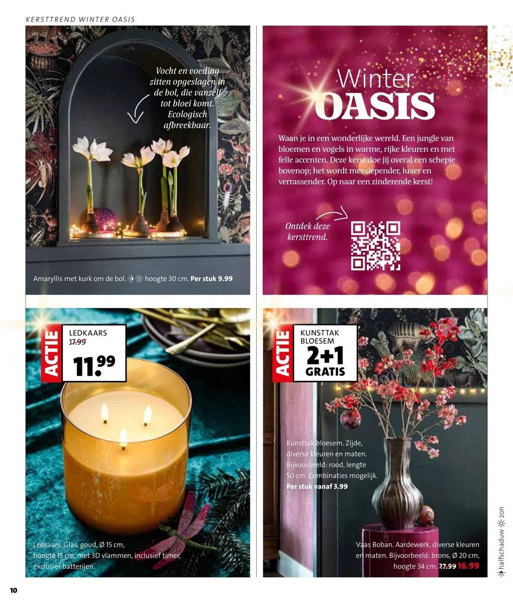 Intratuin folder (2025-10-27 - 2025-11-02)