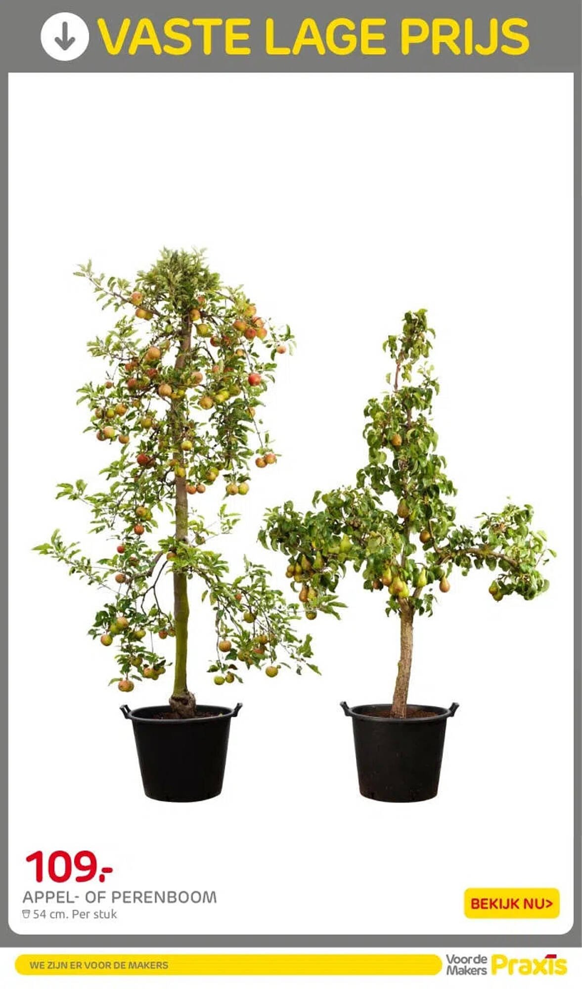 Praxis folder (2026-04-07 - 2026-04-12)