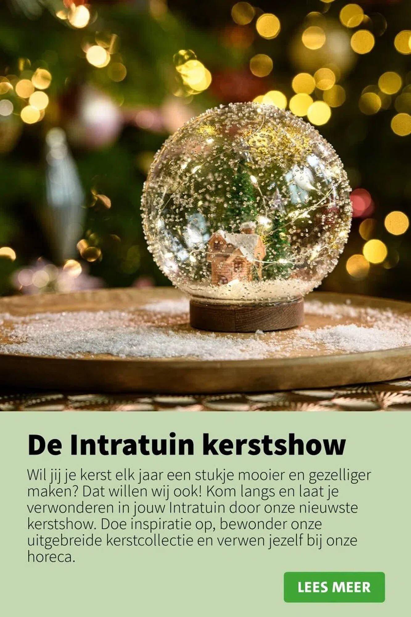 Intratuin folder (2025-10-09 - 2025-12-24)
