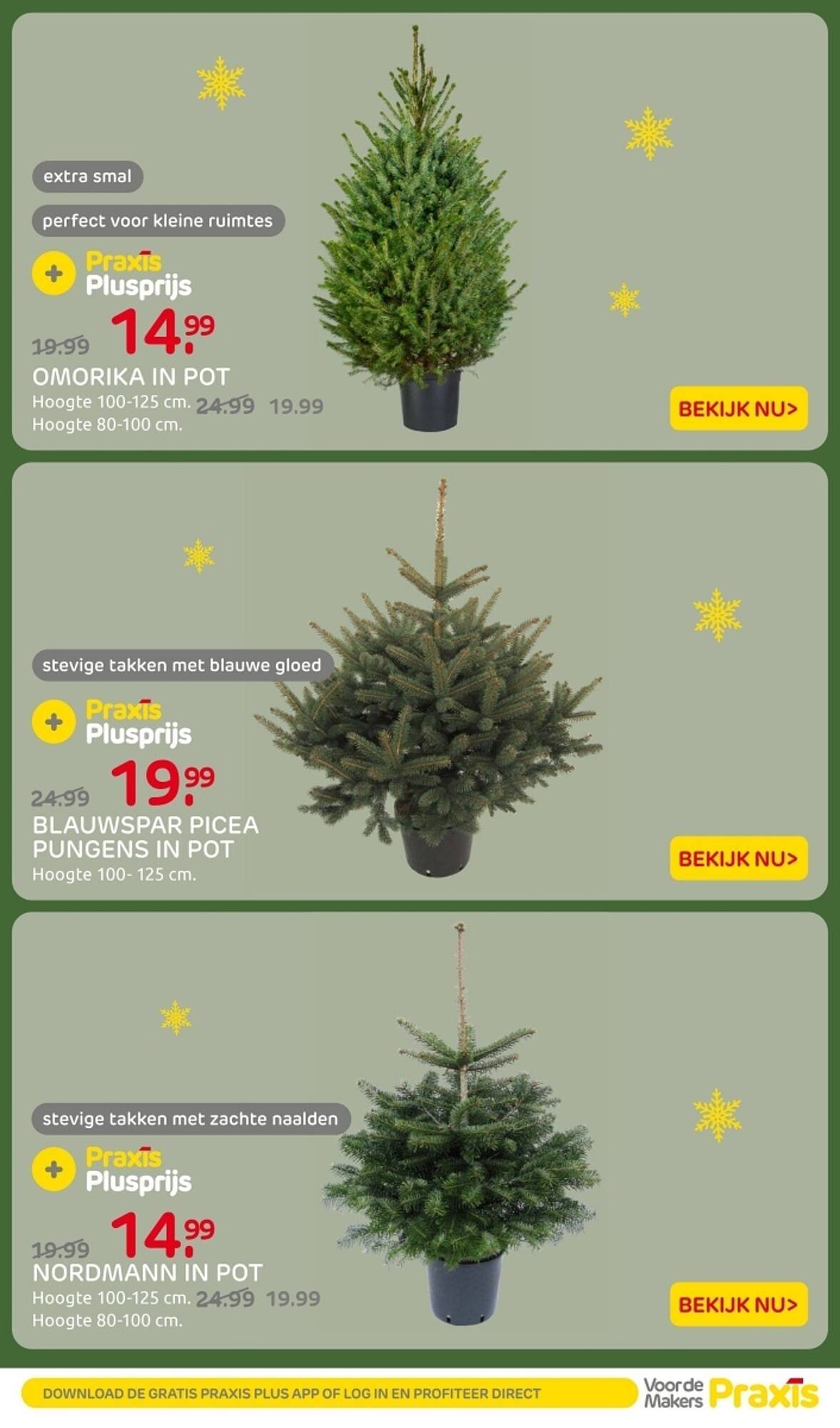 Praxis folder (2025-12-15 - 2025-12-18)