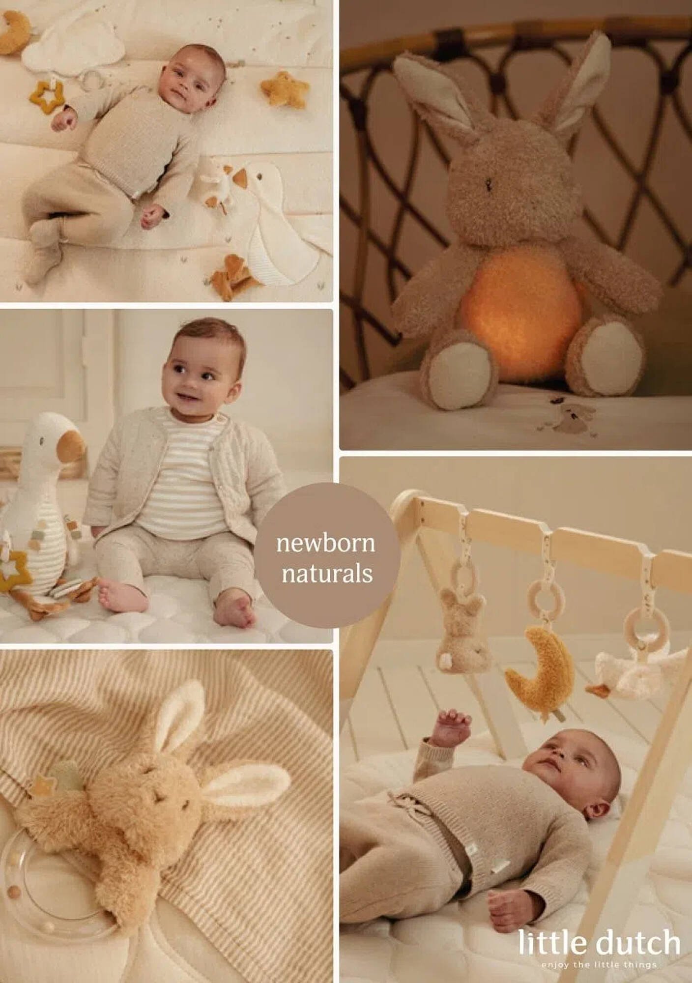 Prenatal folder (2025-11-03 - 2025-11-16)