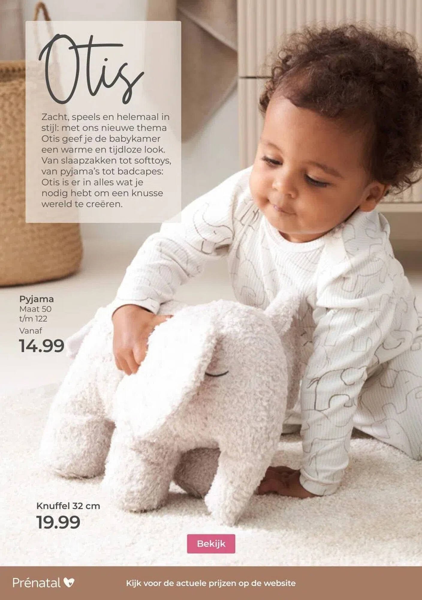 Prenatal folder (2025-11-03 - 2025-11-16)